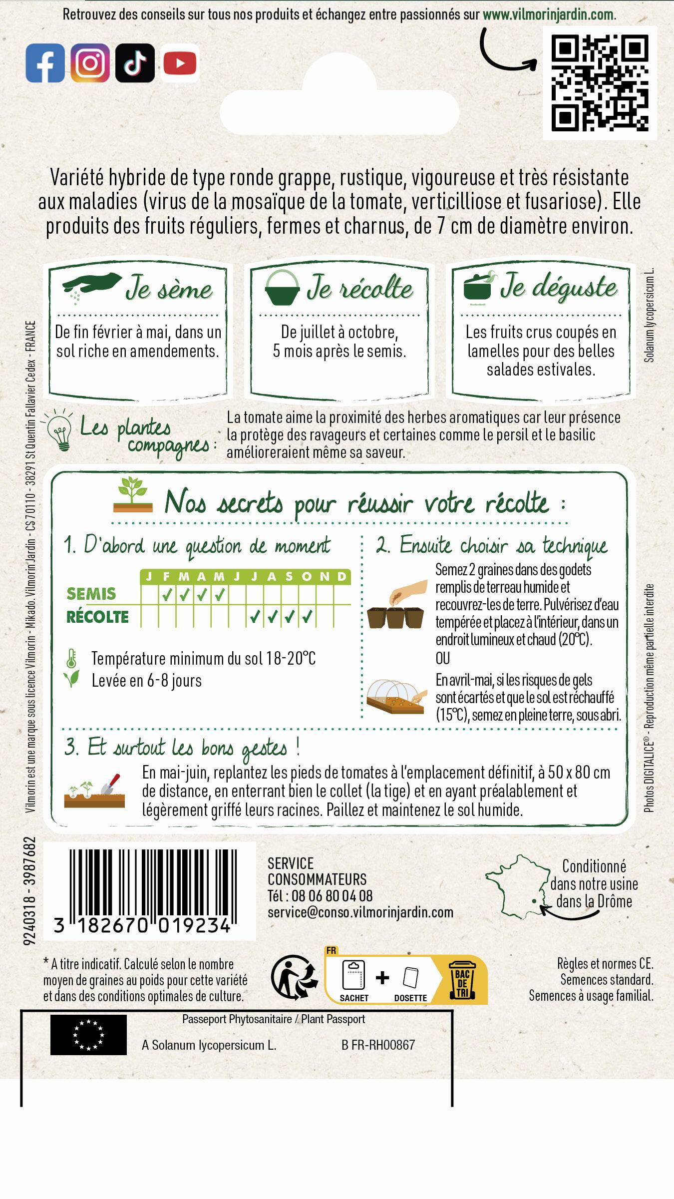 Vilmorin - Tomate Pépite F1 serie 2 sachet graines 0,1 g - Vilmorin - Image 2