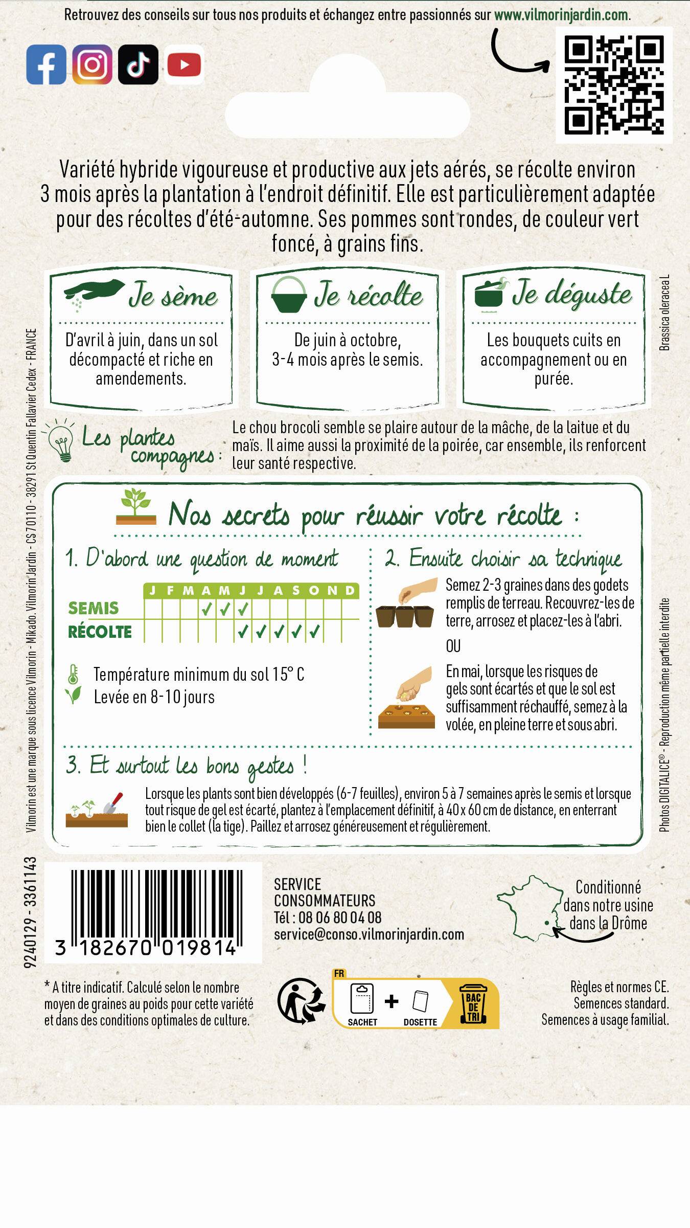 Vilmorin - Chou Brocoli Verdia 2 HF1 Graines d'exception série 3 sachet graines 0,5 g - Vilmorin - Image 2