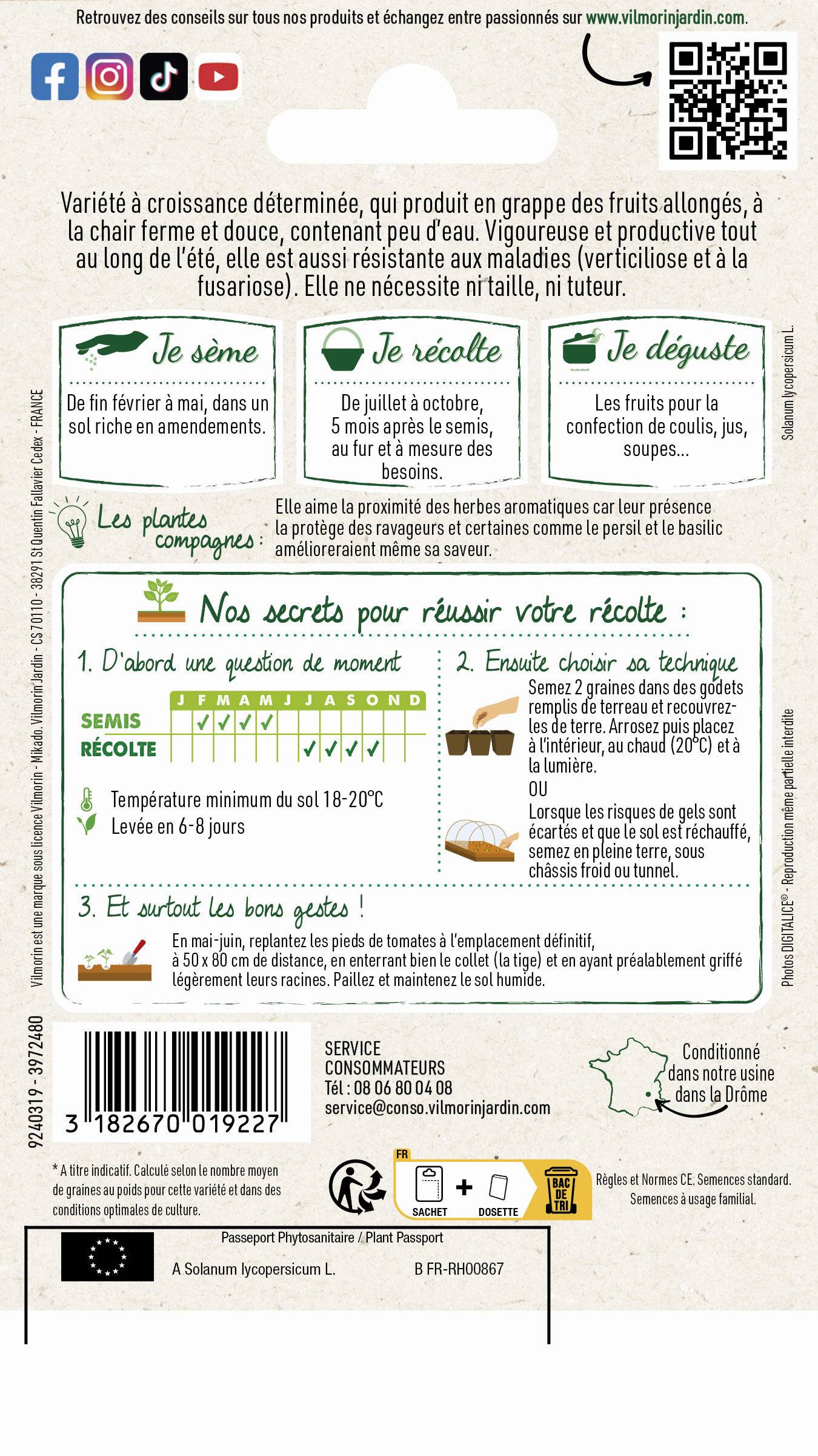 Vilmorin - Tomate Roma Légumes d'Autrefois série 0 sachet graines 0,2 g - Vilmorin - Image 2