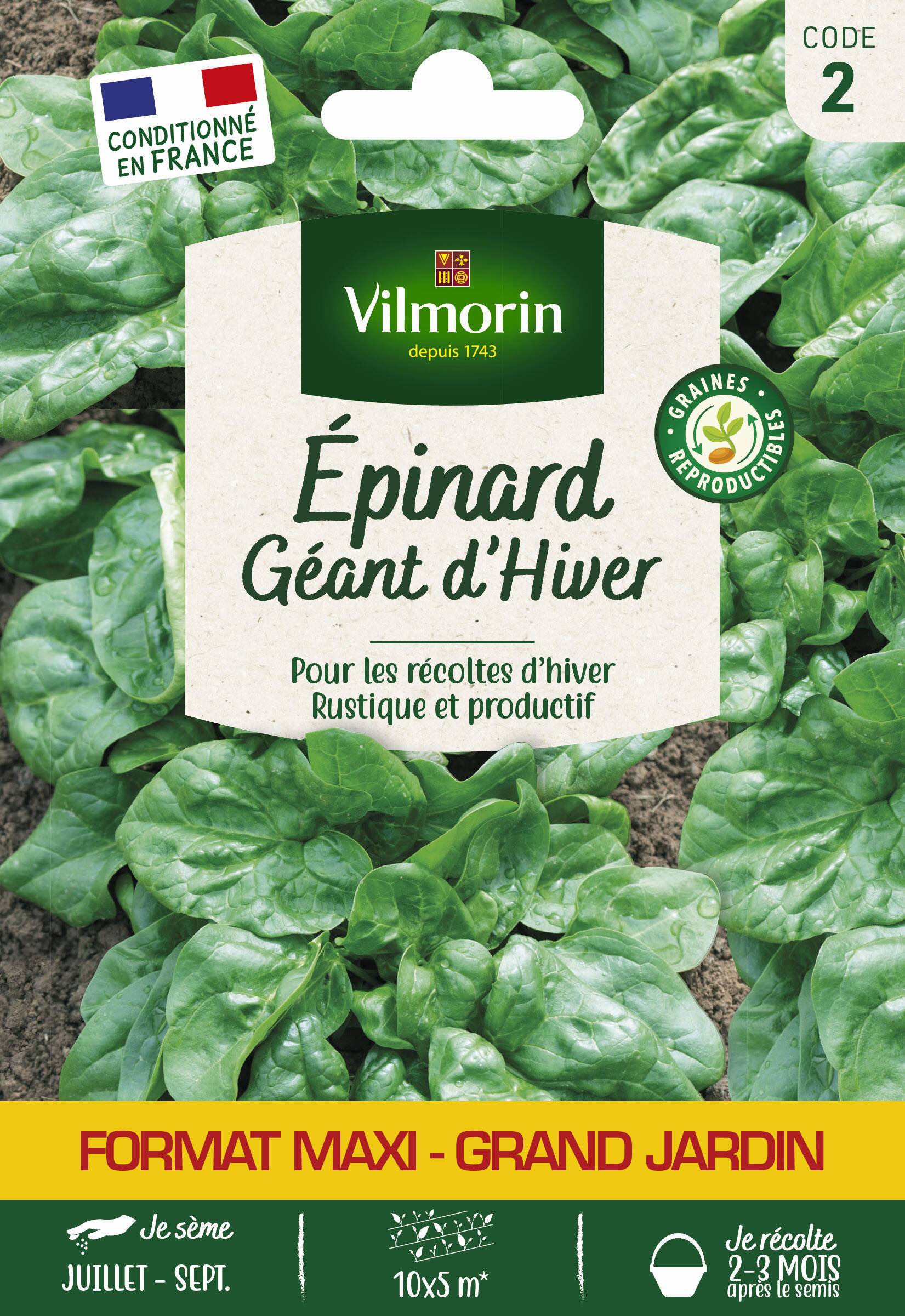 Vilmorin - Epinard Géant d'Hiver série 2 sachet graines 31 g - Vilmorin - Image 1