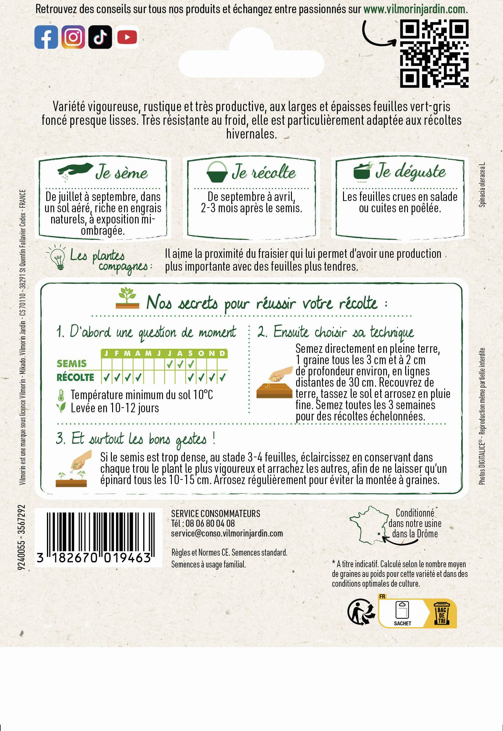 Vilmorin - Epinard Géant d'Hiver série 2 sachet graines 31 g - Vilmorin - Image 2