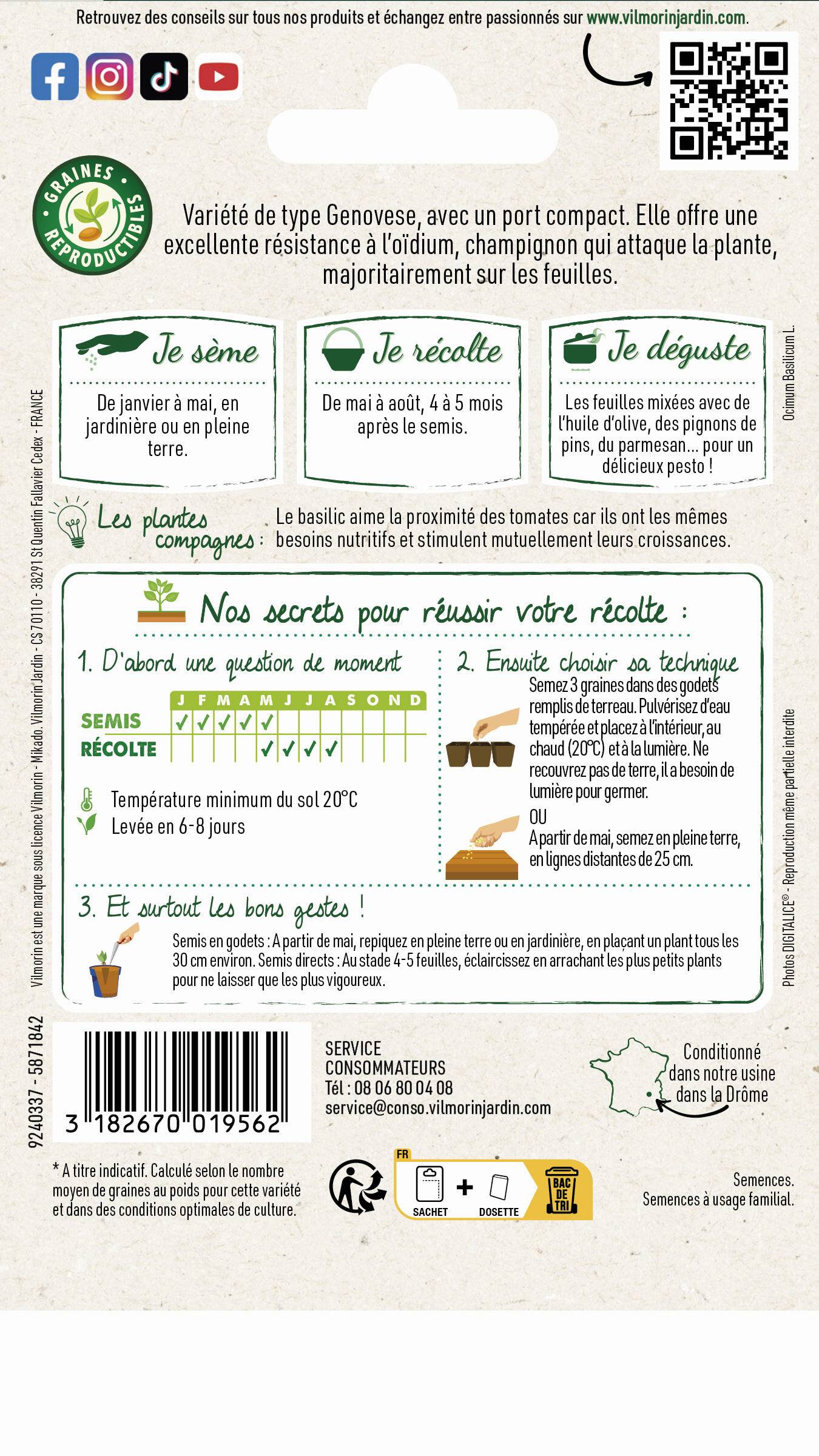 Vilmorin - Basilic Loki serie 2 sachet graines 0,3 g - Vilmorin - Image 2