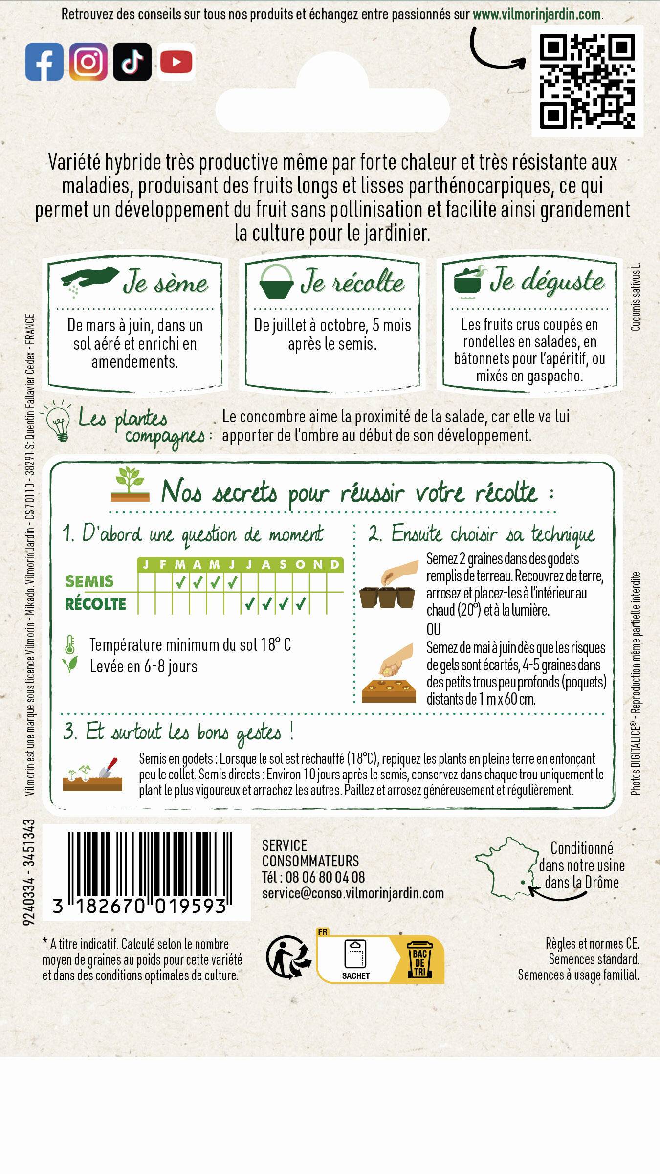 Vilmorin - Concombre Bella F1 Graines d'Exception série 3 sachet graines 0,5 g - Vilmorin - Image 2