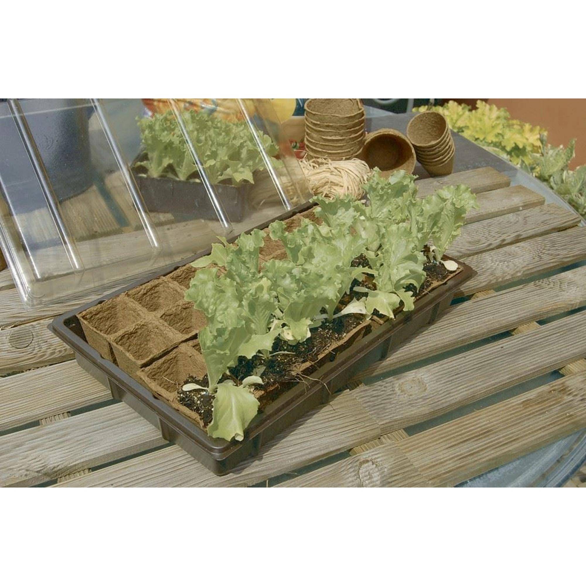 Mini serre en bois biodégradable Growing Kit Nortene - Imagen 2