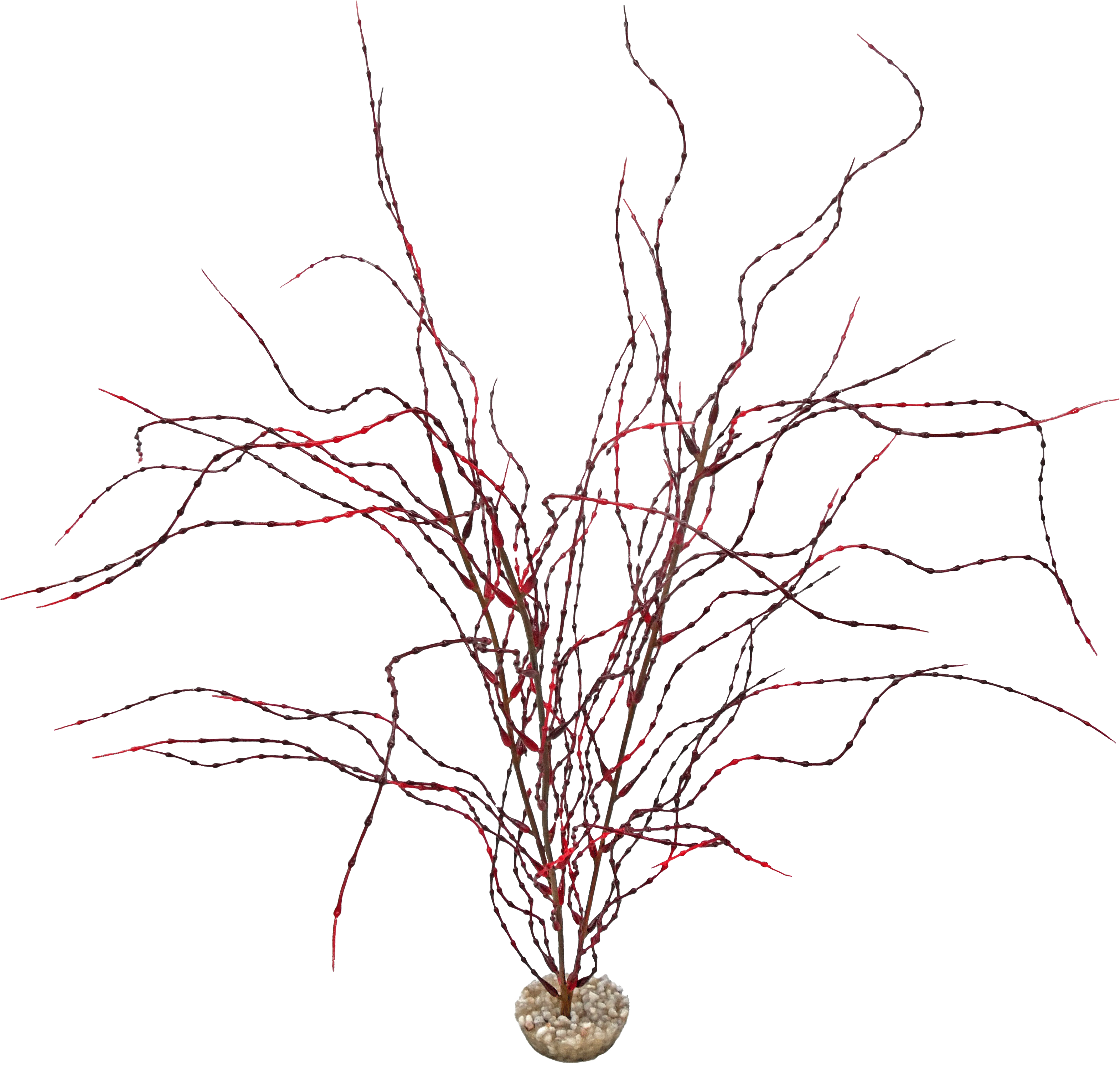 Labéo - Labéo - Decoración Psilotum PM rojo burdeos - H.33 cm