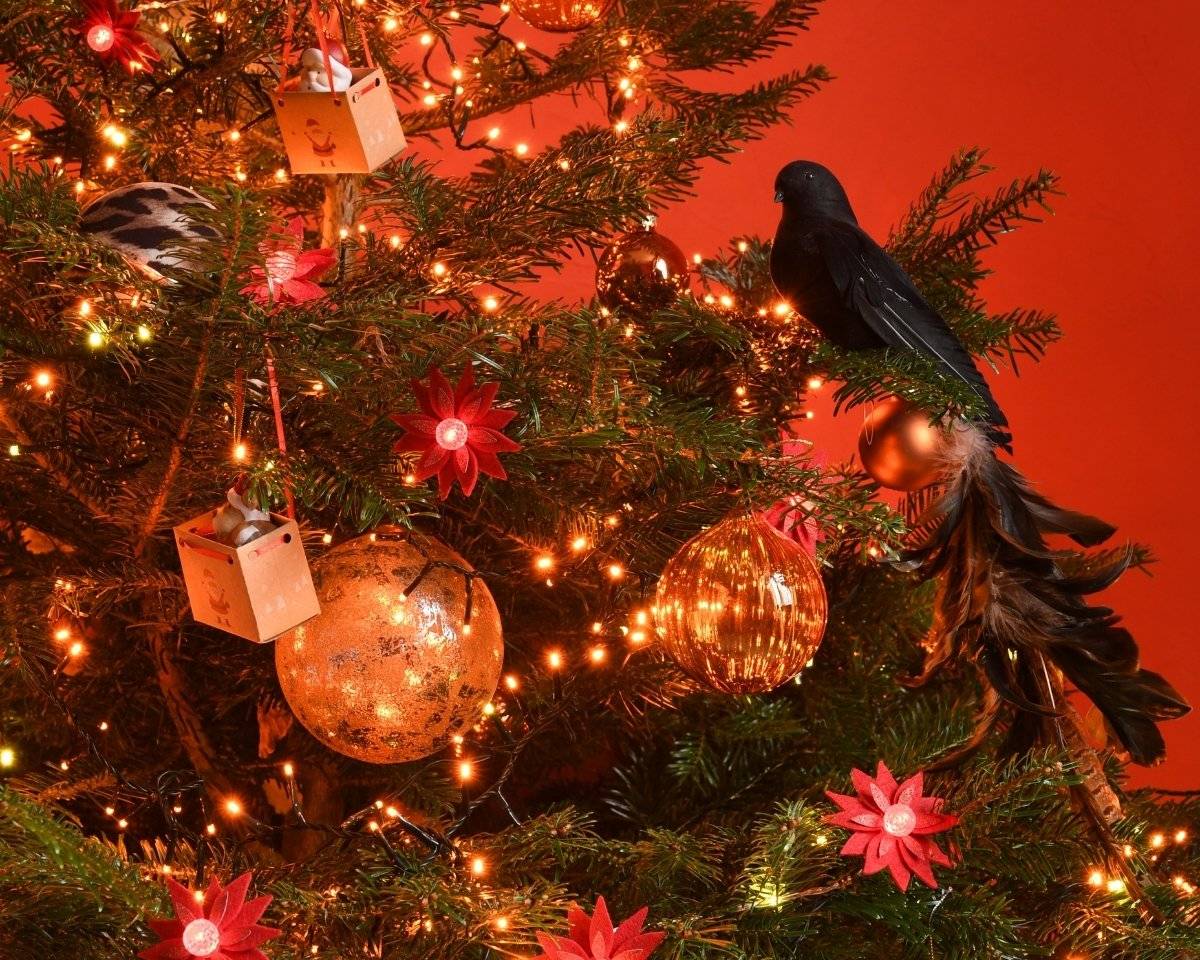 Blachere Illumination - Guirlande LED déco fleurs - 1,8m - Rouge - BLACHERE ILLUMINATION