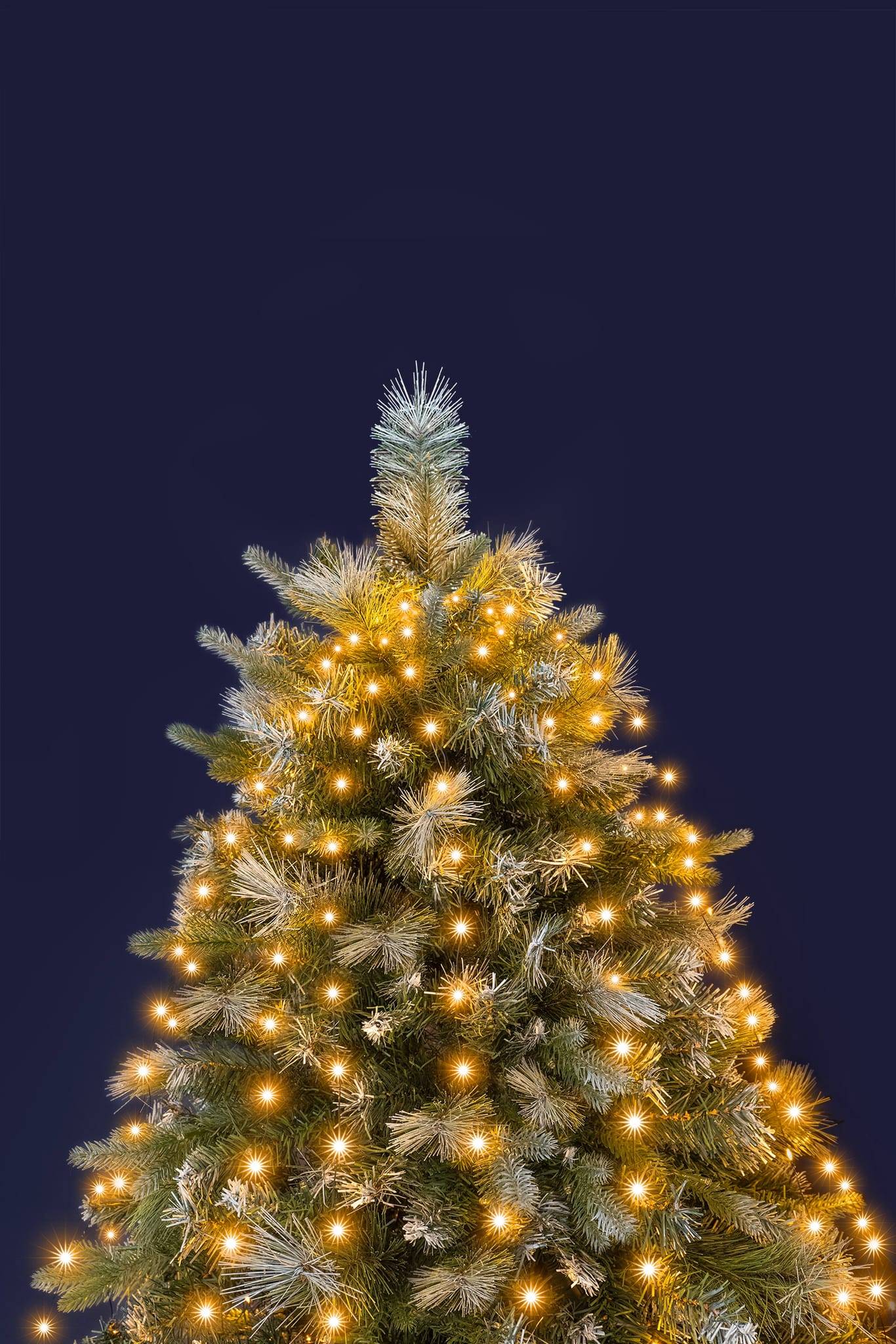 Blachere Illumination - Rideau de sapin lumineux Ambre H.1,8 m - BLACHERE ILLUMINATION