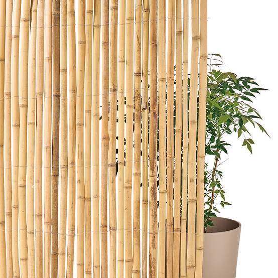 Ecloz - Canisse en bambou 1,5 x 3 m - ECLOZ - Image 1