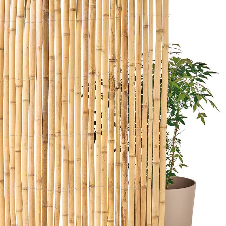 Ecloz - Canisse en bambou 1 x 3 m - ECLOZ