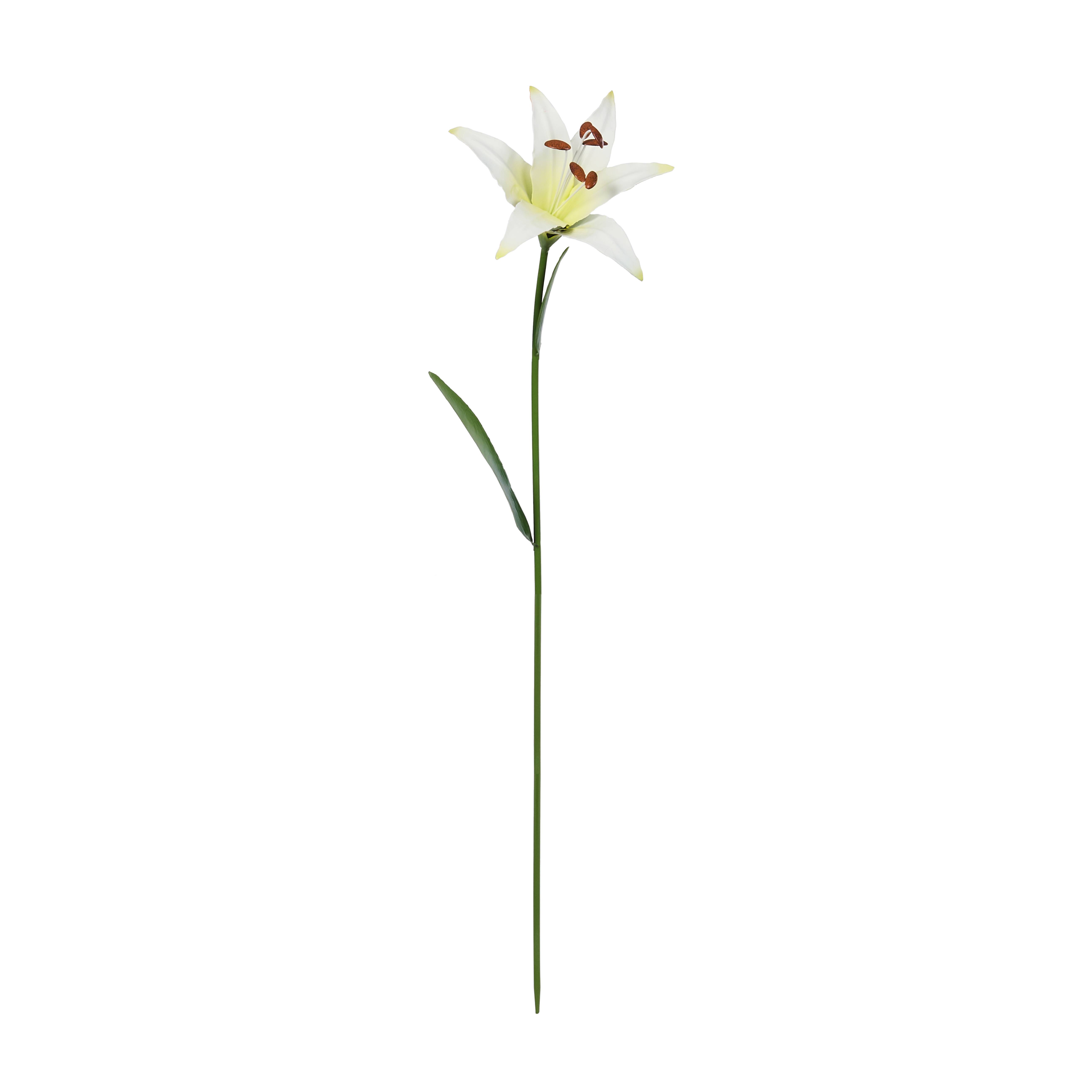 Smart Garden Products - Pique Flower Power - SMART GARDEN PRODUCTS - Imagen 5
