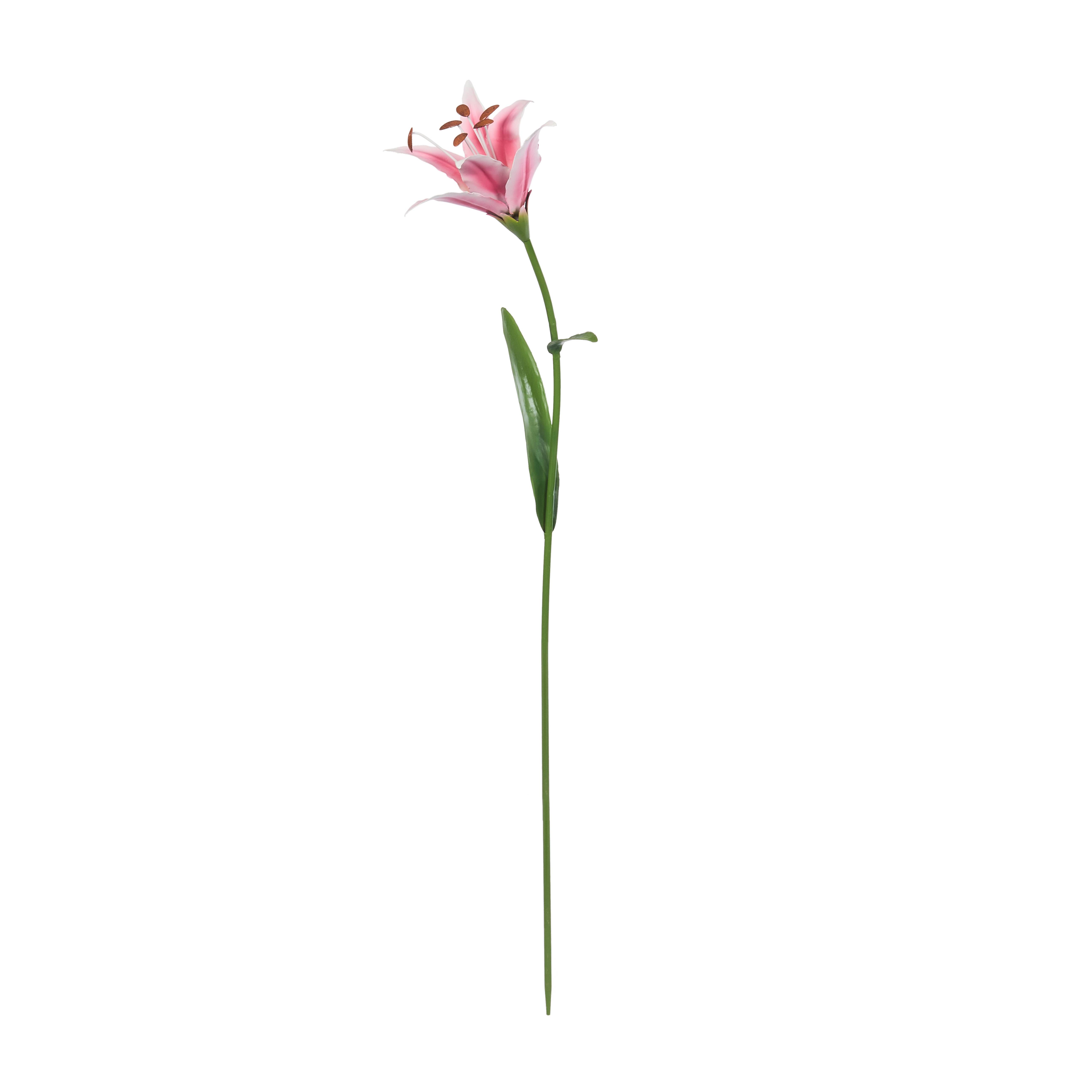 Smart Garden Products - Pique Flower Power - SMART GARDEN PRODUCTS - Imagen 6