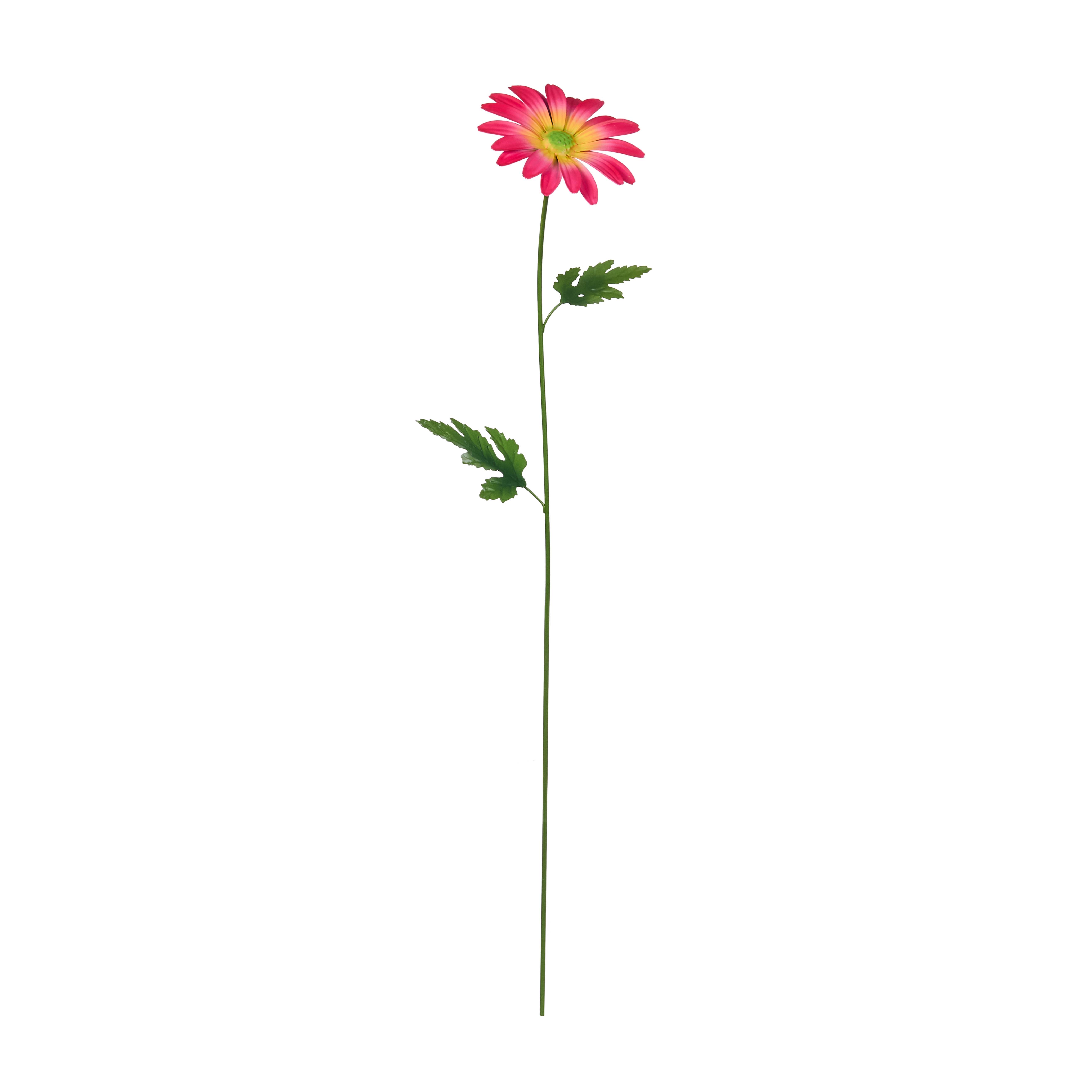 Smart Garden Products - Pique Flower Power - SMART GARDEN PRODUCTS