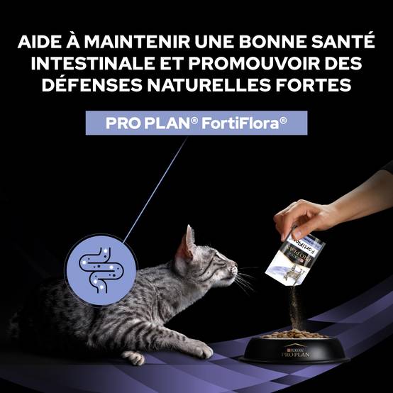 Purina Pro Plan - Un supplément probiotique diététique pour les chatons et les chats adultes - PRO PLAN - Image 11
