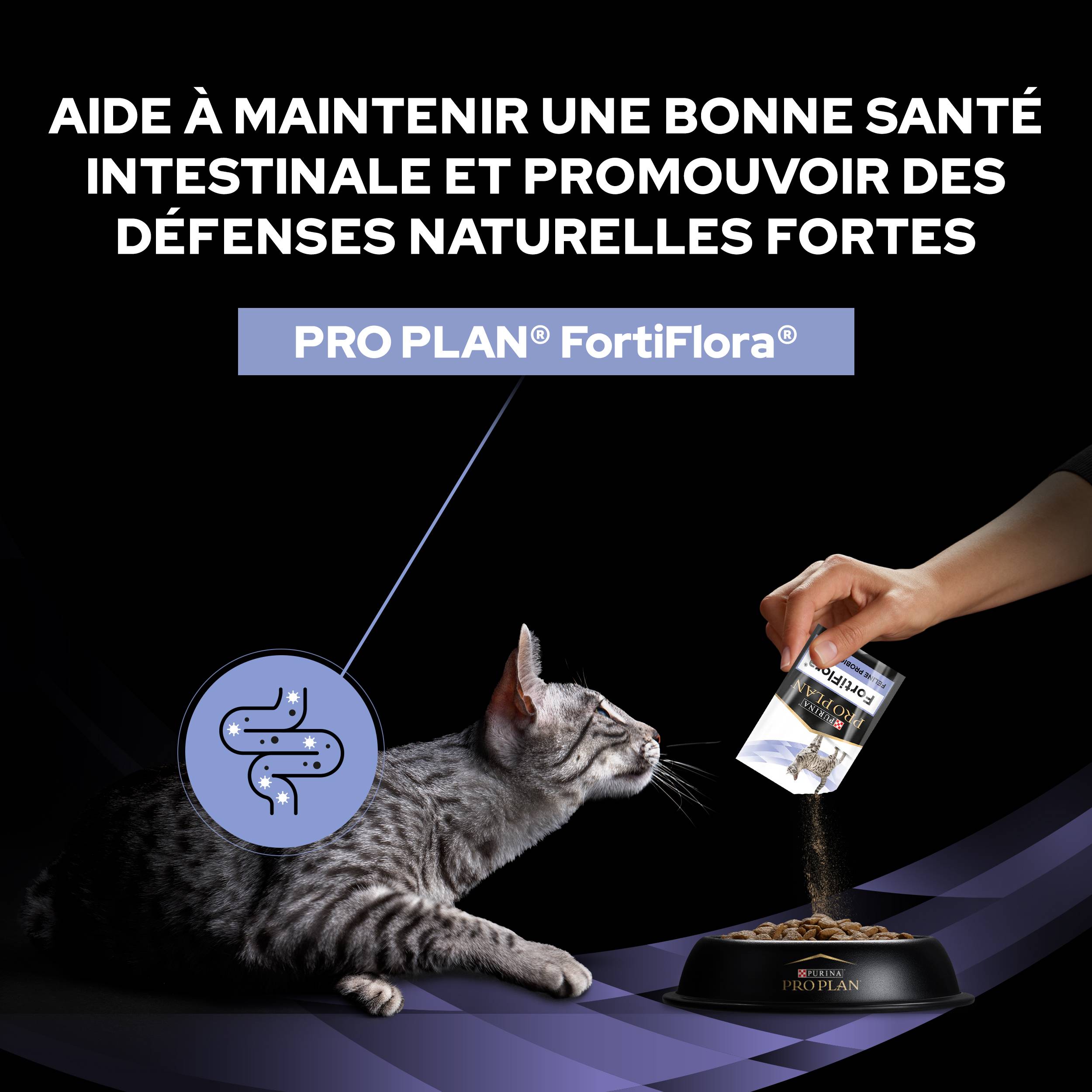 Purina Pro Plan - Un supplément probiotique diététique pour les chatons et les chats adultes - PRO PLAN - Imagen 11