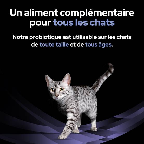 Purina Pro Plan - Un supplément probiotique diététique pour les chatons et les chats adultes - PRO PLAN - Image 7