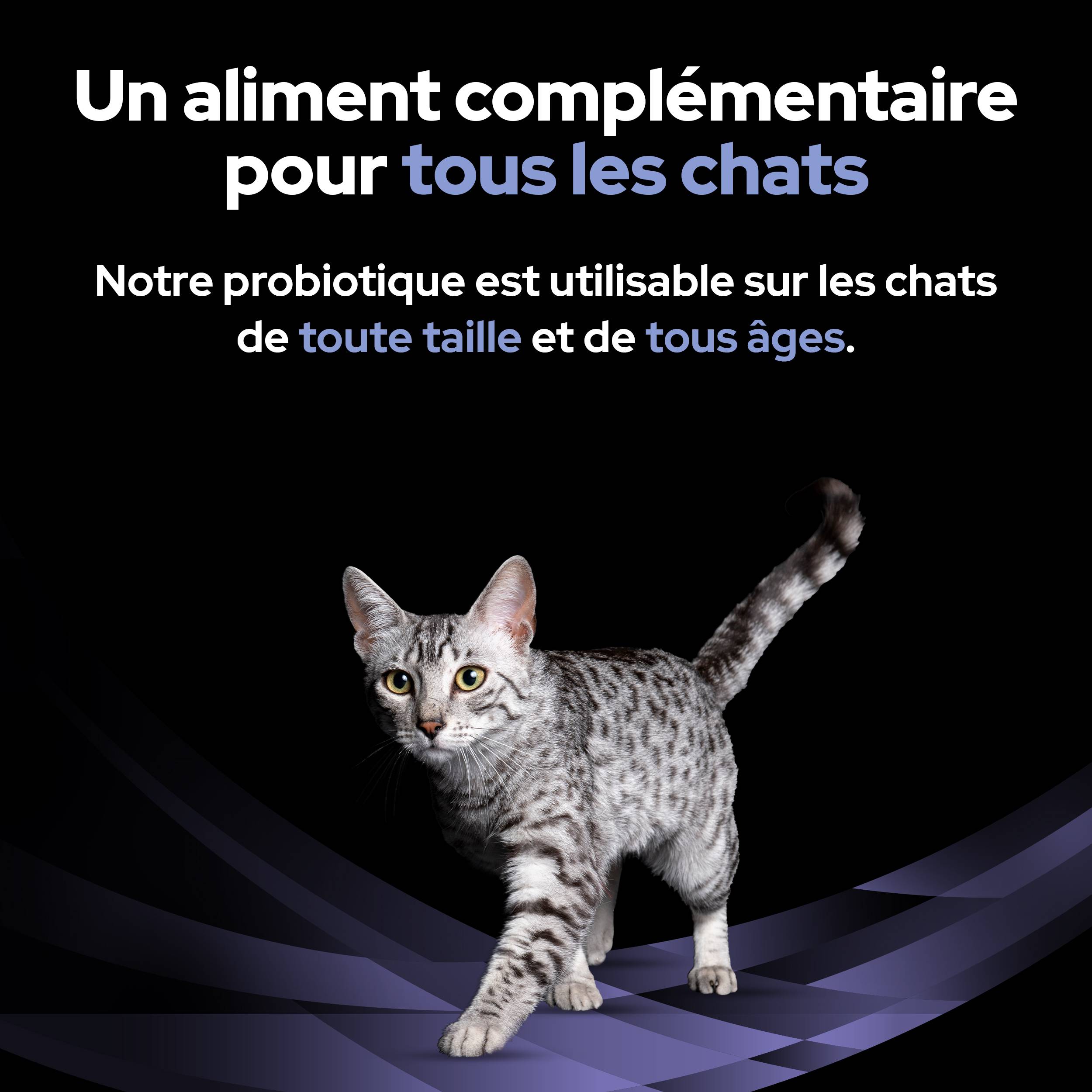 Purina Pro Plan - Un supplément probiotique diététique pour les chatons et les chats adultes - PRO PLAN - Imagen 7