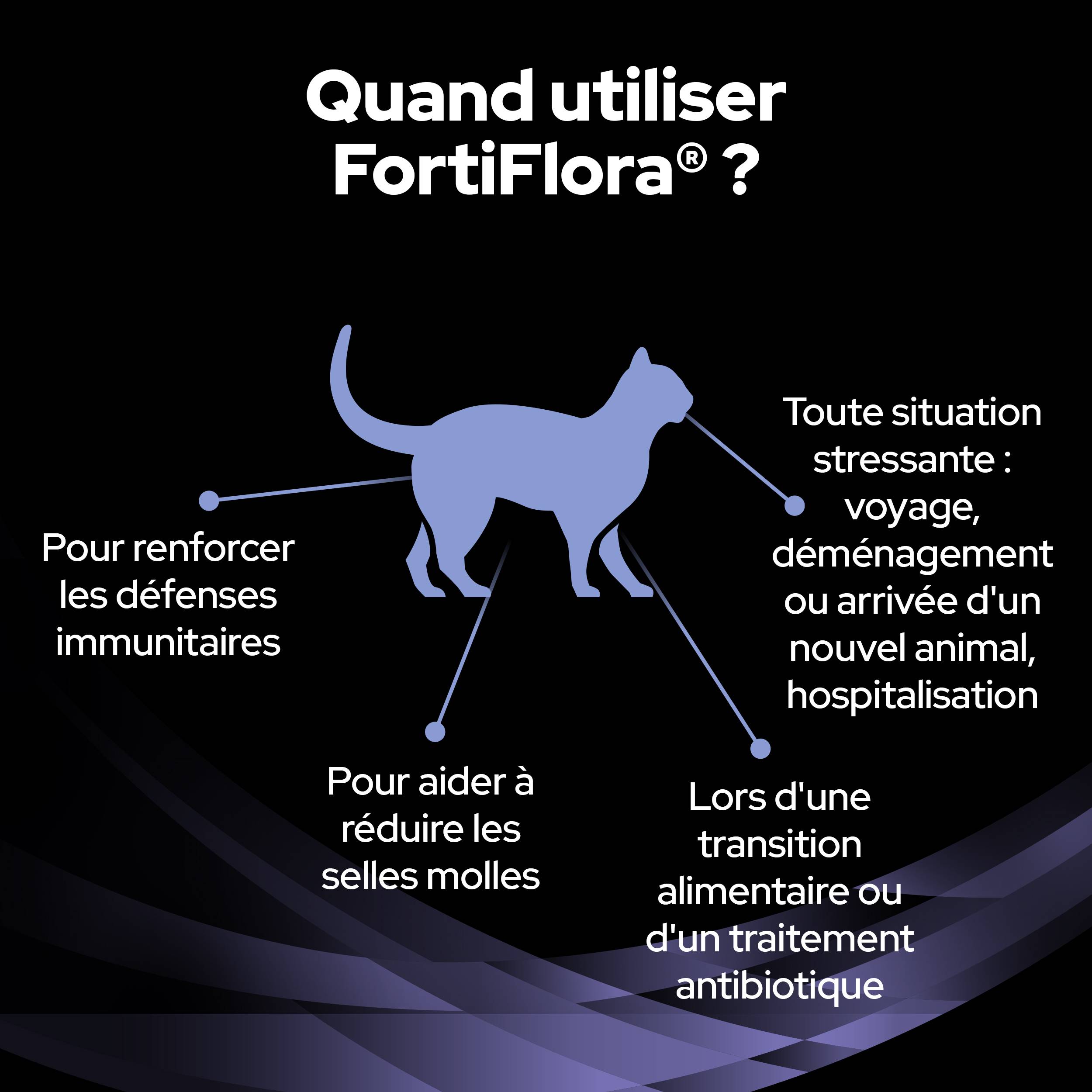 Purina Pro Plan - Un supplément probiotique diététique pour les chatons et les chats adultes - PRO PLAN - Imagen 10