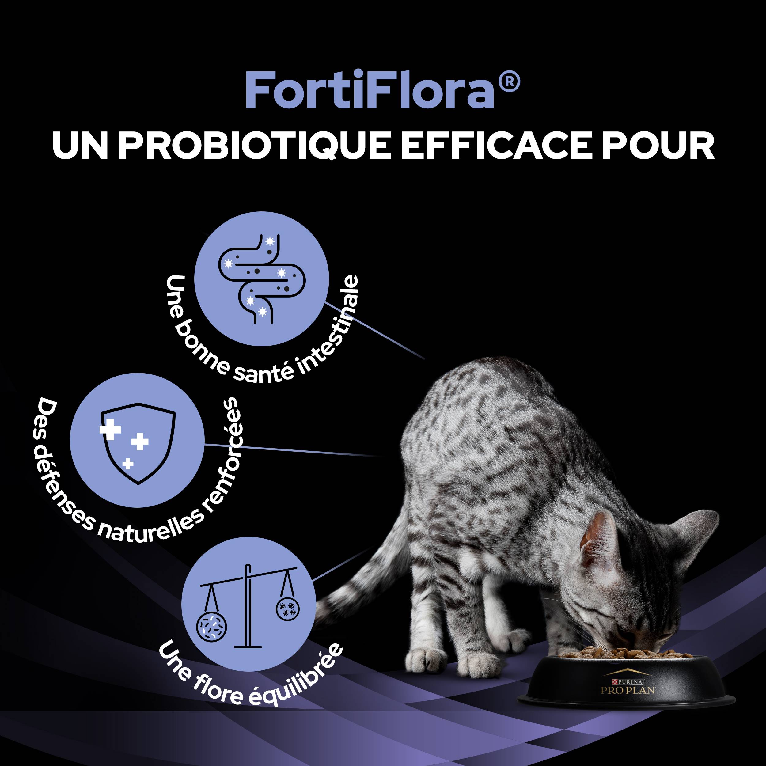 Purina Pro Plan - Un supplément probiotique diététique pour les chatons et les chats adultes - PRO PLAN - Imagen 9