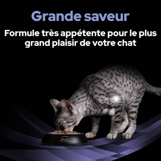 Purina Pro Plan - Un supplément probiotique diététique pour les chatons et les chats adultes - PRO PLAN - Image 2