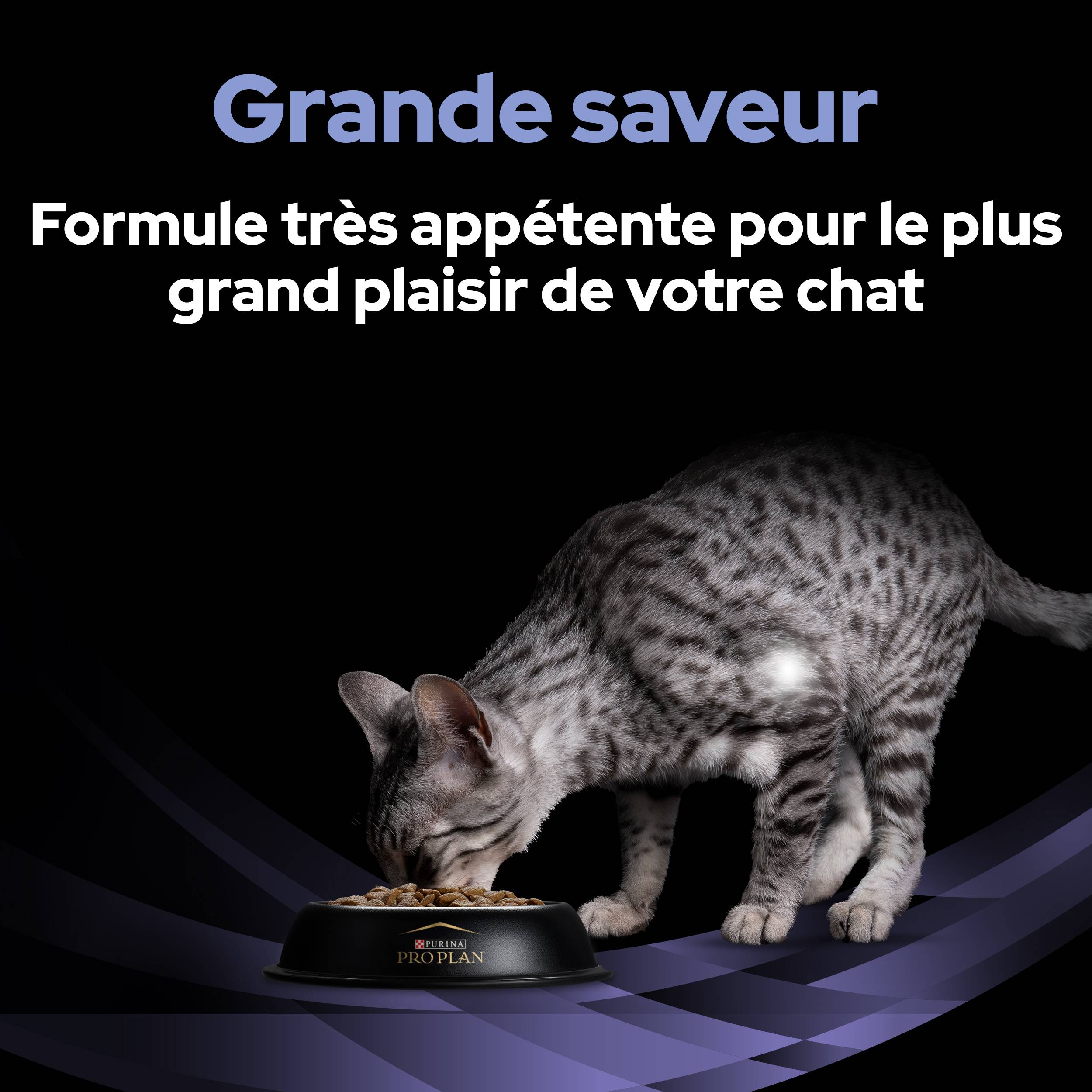Purina Pro Plan - Un supplément probiotique diététique pour les chatons et les chats adultes - PRO PLAN - Imagen 2