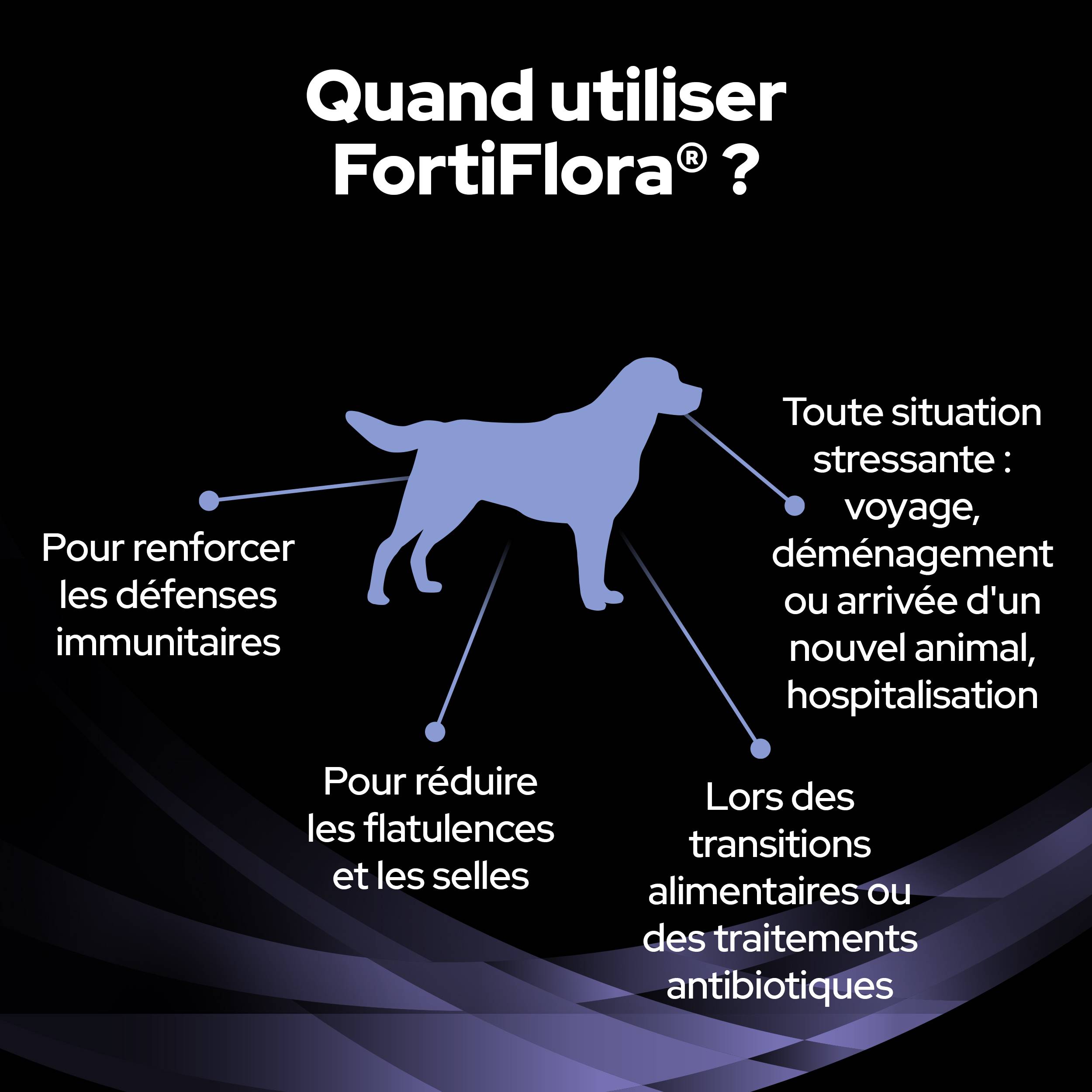 Purina Pro Plan - PRO PLAN FortiFlora - 30 g - Formule pour chiens - Image 14