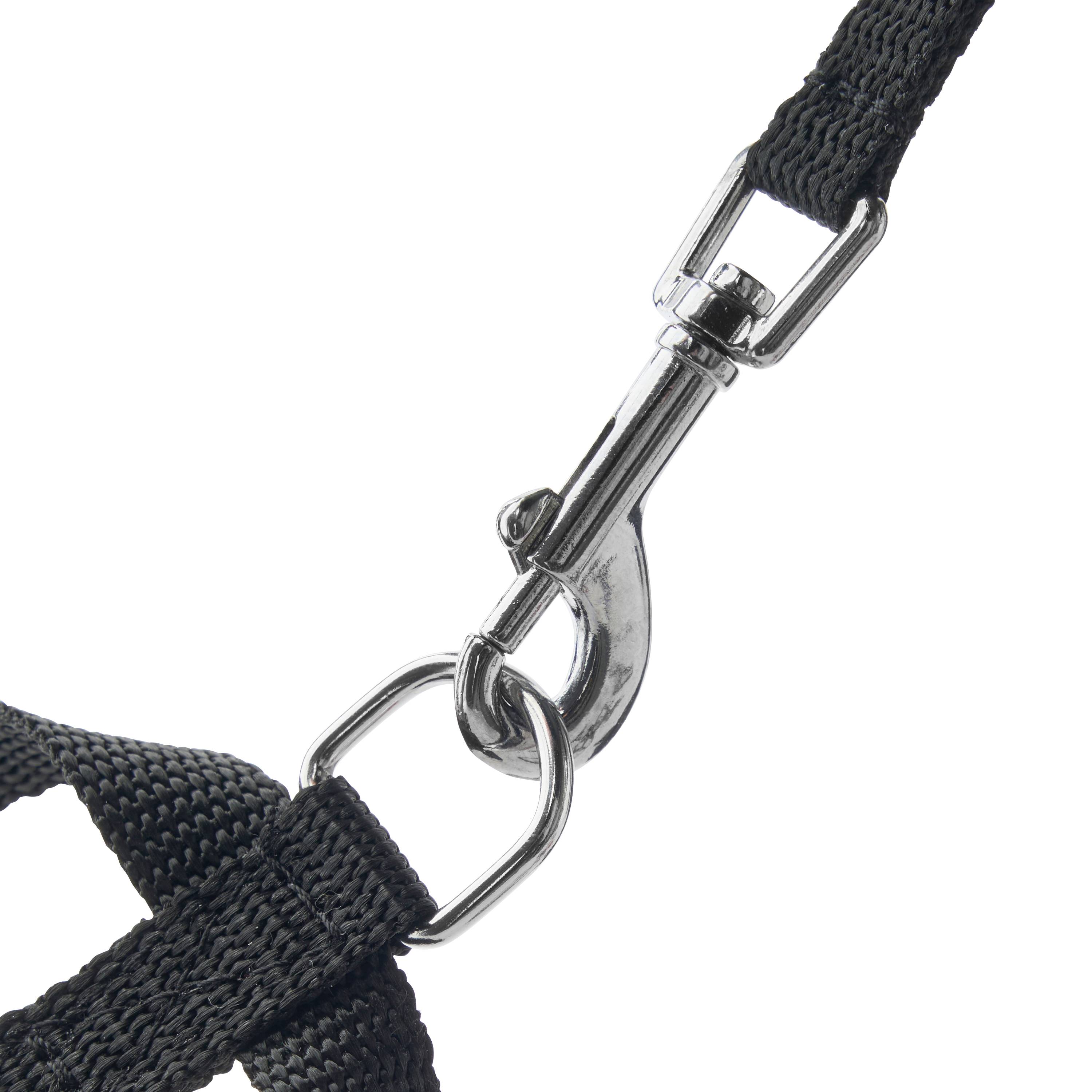 Marque Economique - Harnais en nylon noir pour chien – Taille M 15 mm - Imagen 4