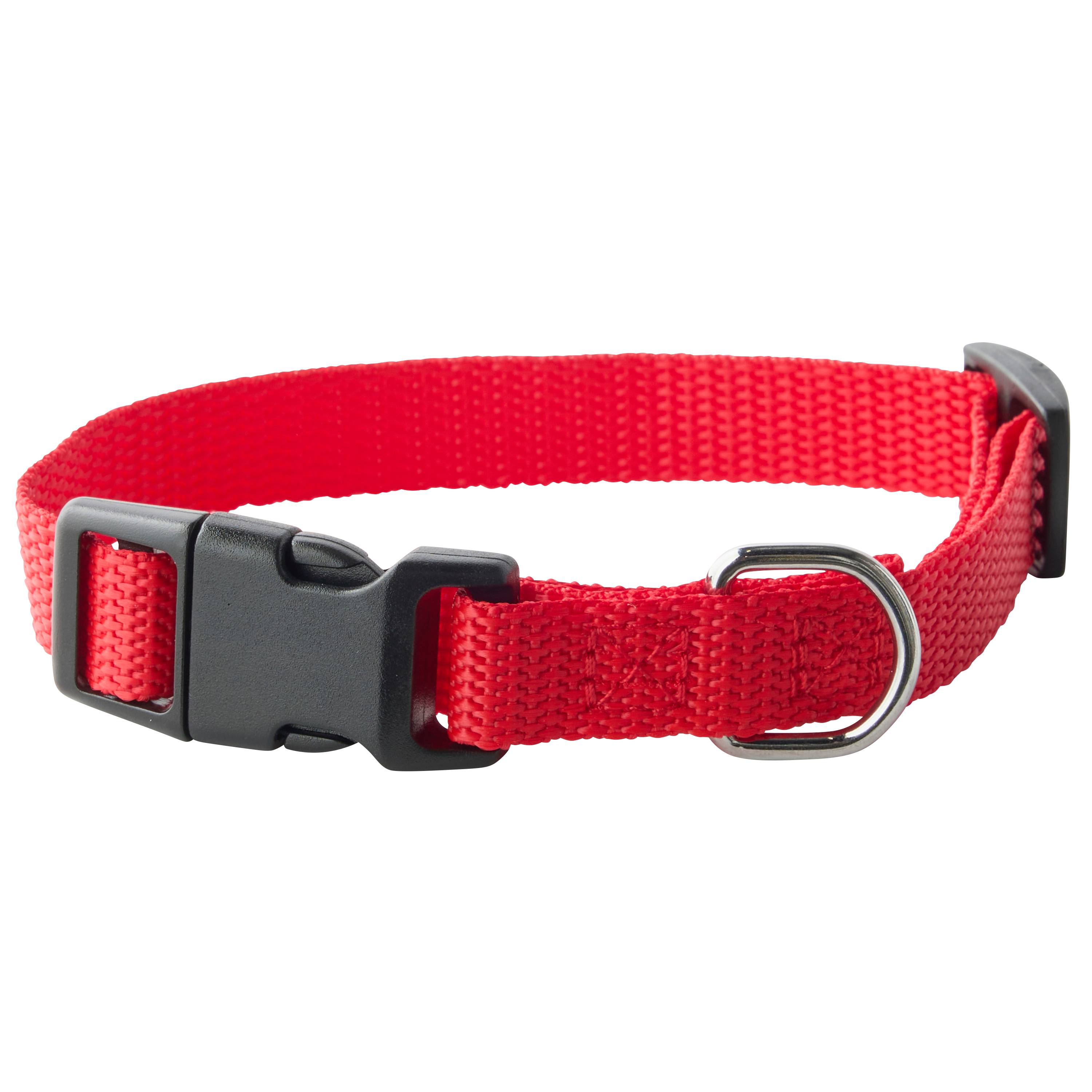 Marque Economique - Collar de nylon rojo para perro – Tamaño M 15 mm - Imagen 1