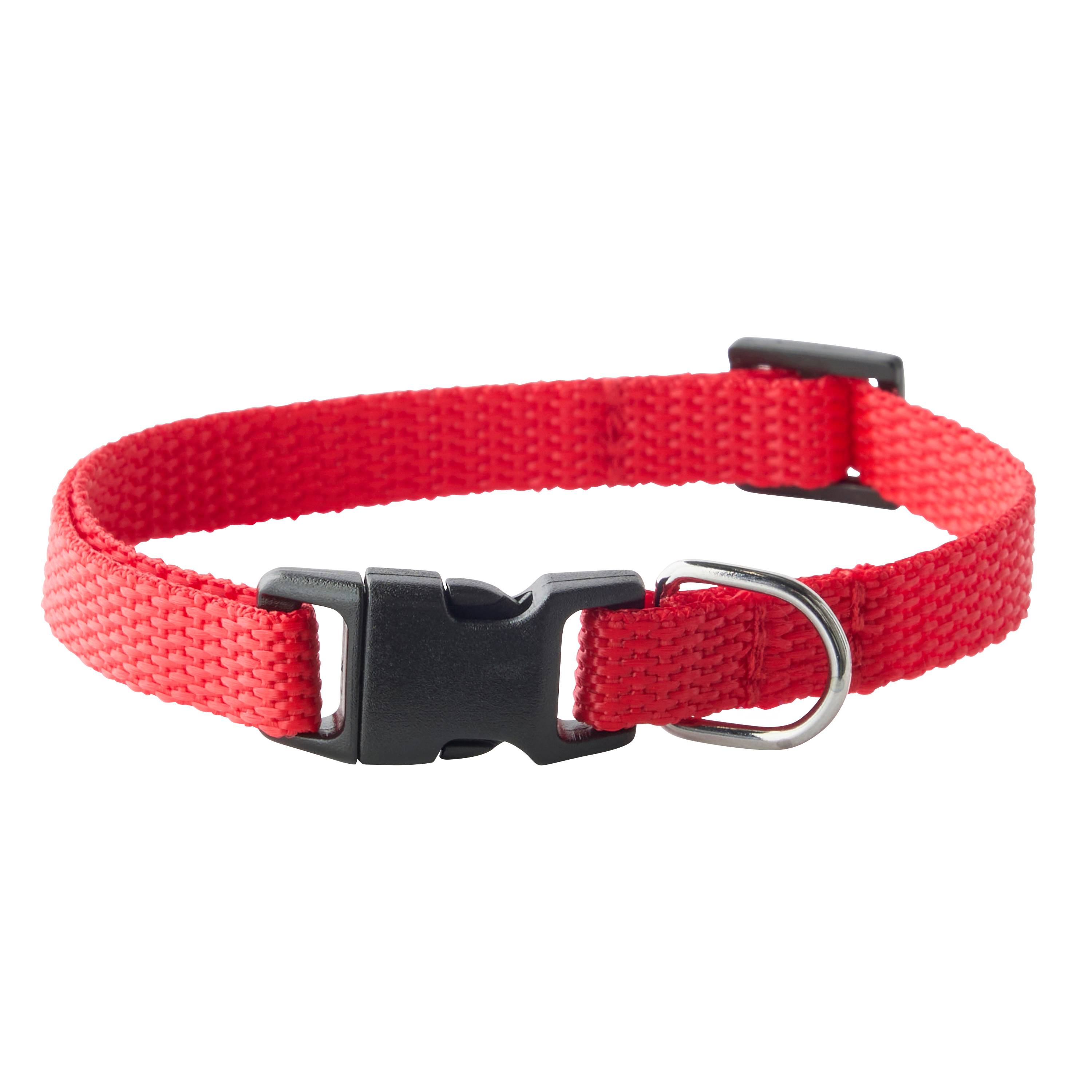 Marque Economique - Collier en nylon rouge pour chien – Taille S 10 mm - Image 1