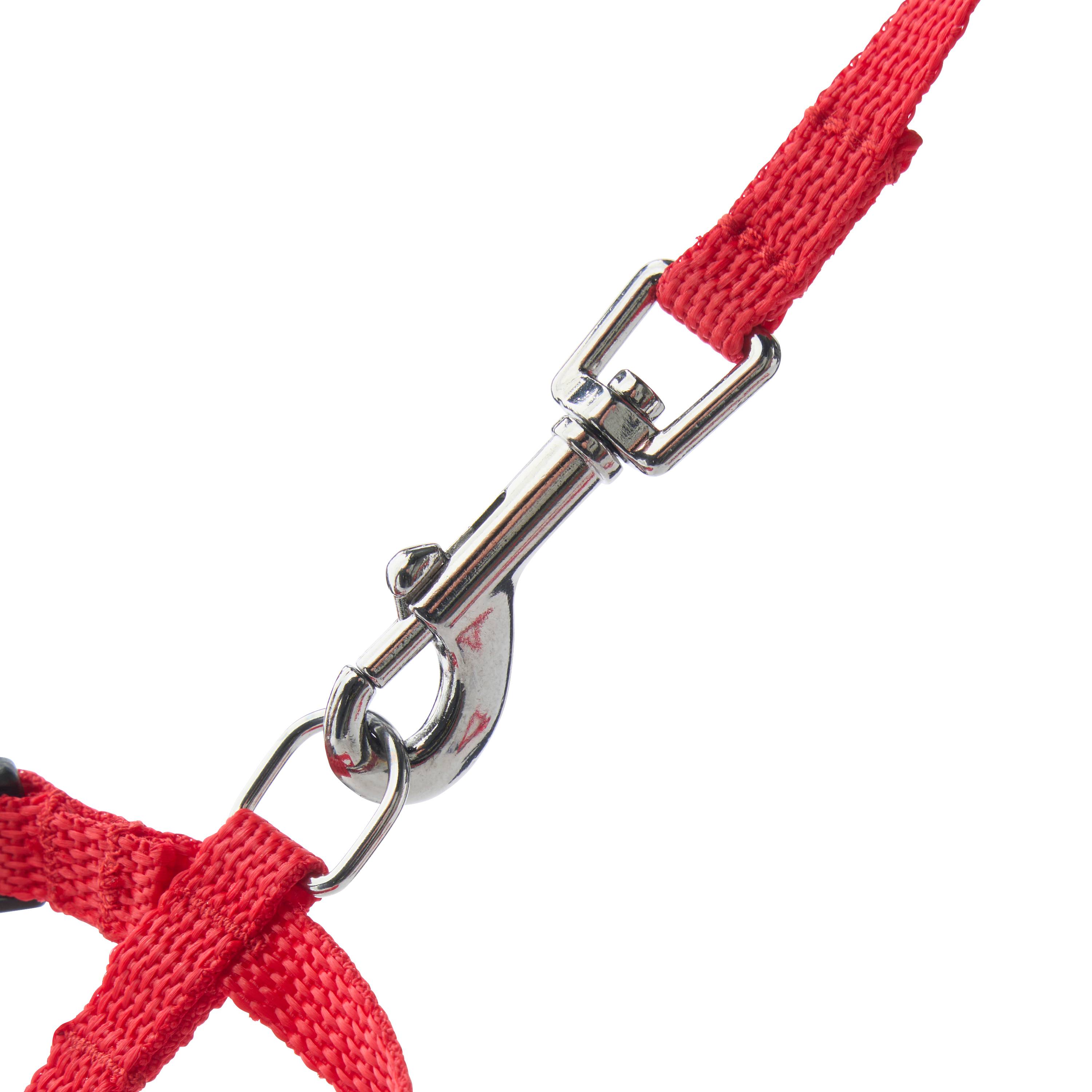 No name - zolux - Harnais en nylon rouge pour chien – Taille S 10 mm - Imagen 3