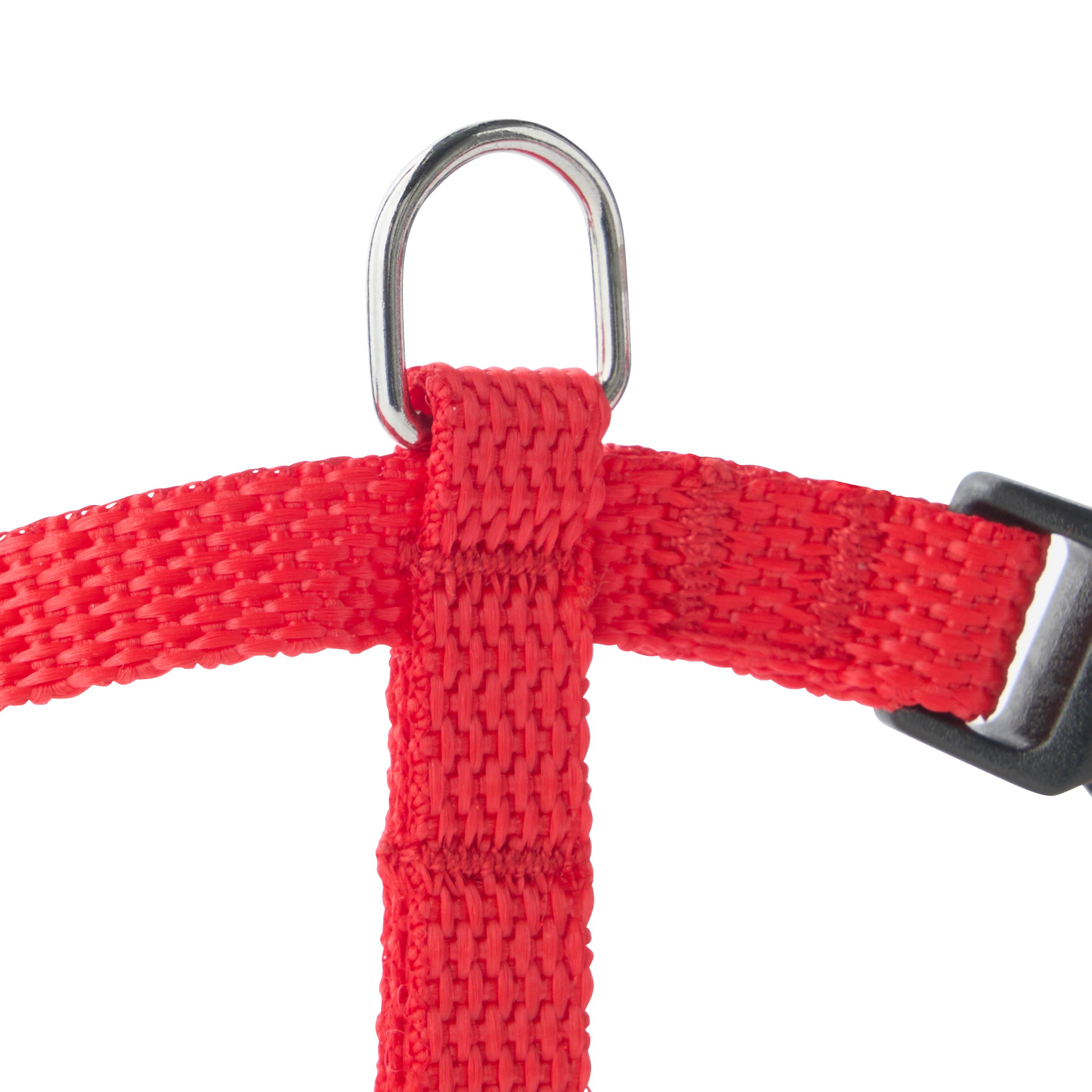 No name - zolux - Harnais en nylon rouge pour chien – Taille S 10 mm - Imagen 2