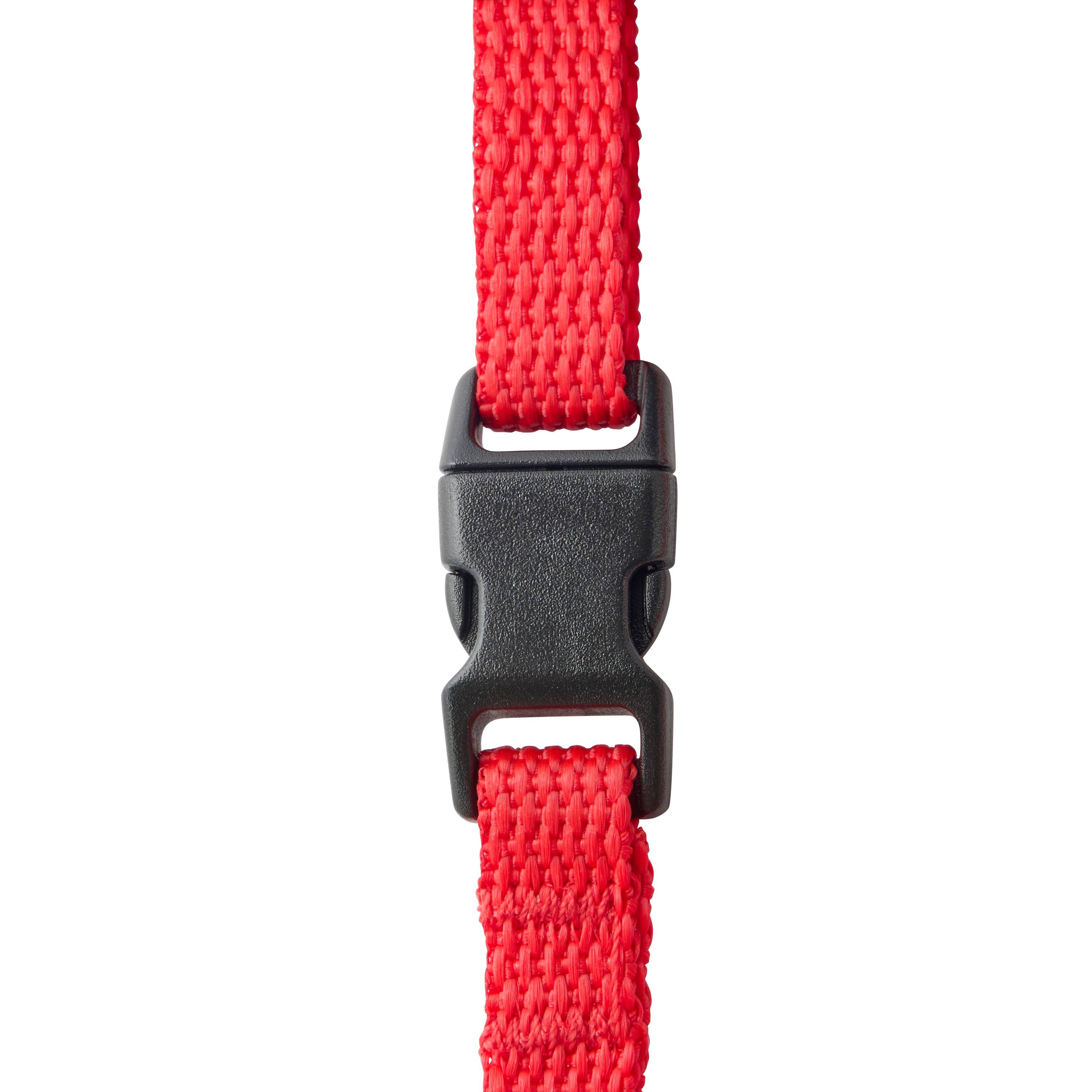 No name - zolux - Harnais en nylon rouge pour chien – Taille S 10 mm - Imagen 4