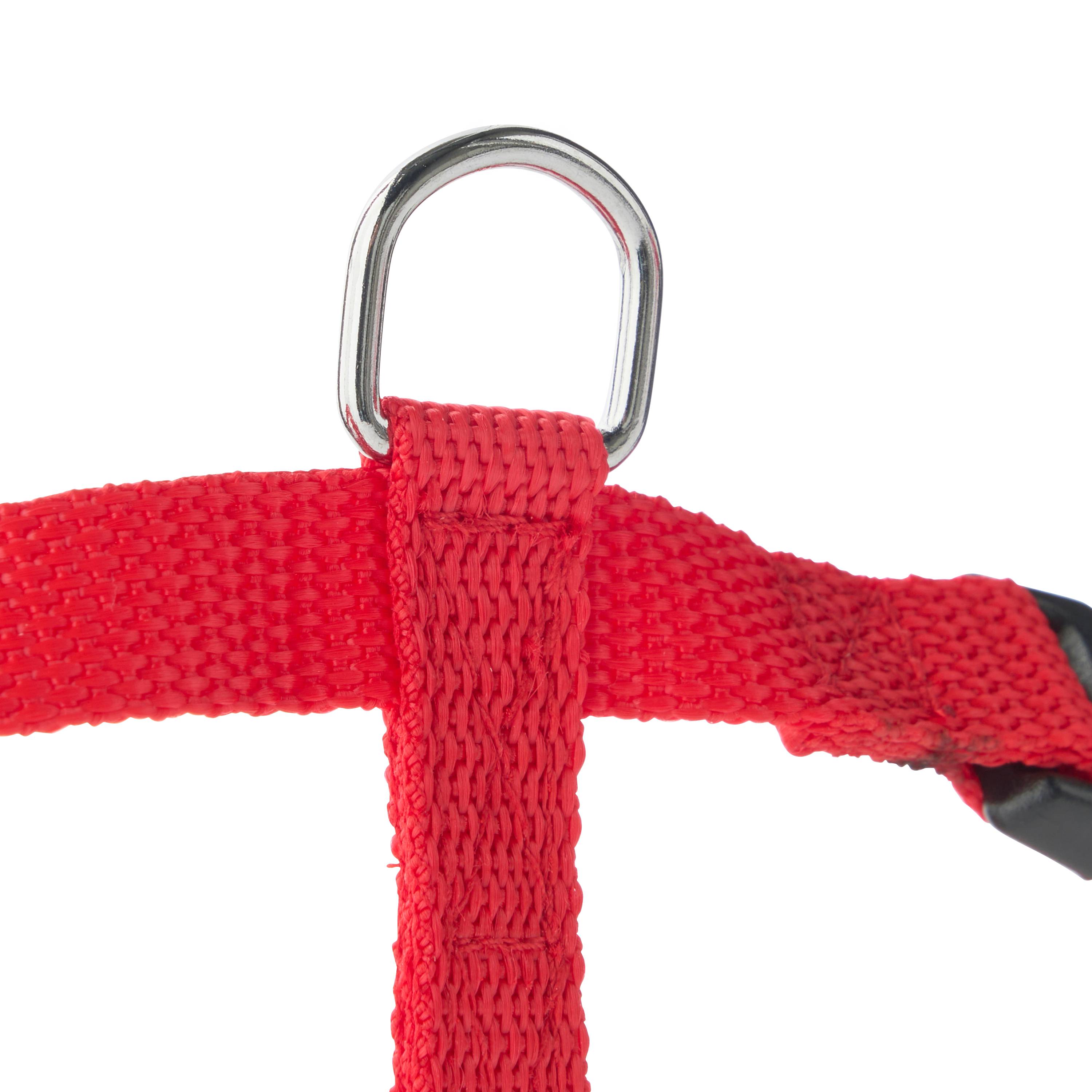 Marque Economique - Arnés de nylon rojo para perro – Tamaño M 15 mm - Imagen 3