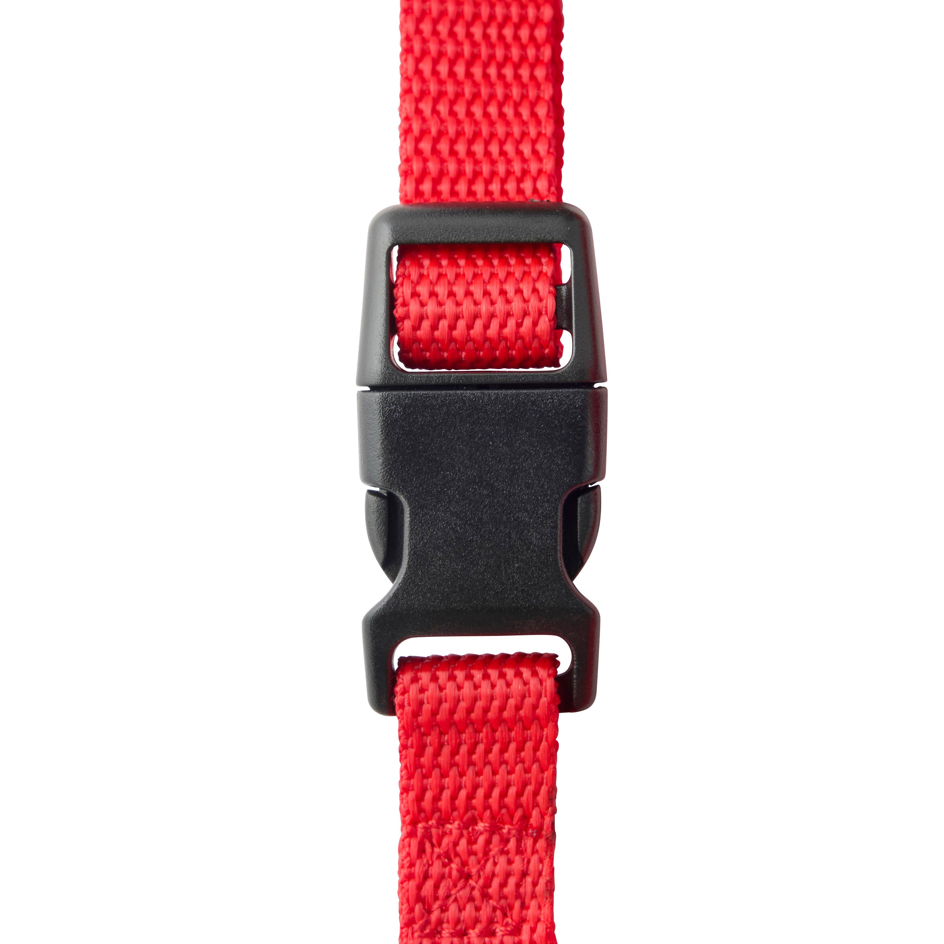 Marque Economique - Arnés de nylon rojo para perro – Tamaño M 15 mm - Imagen 2