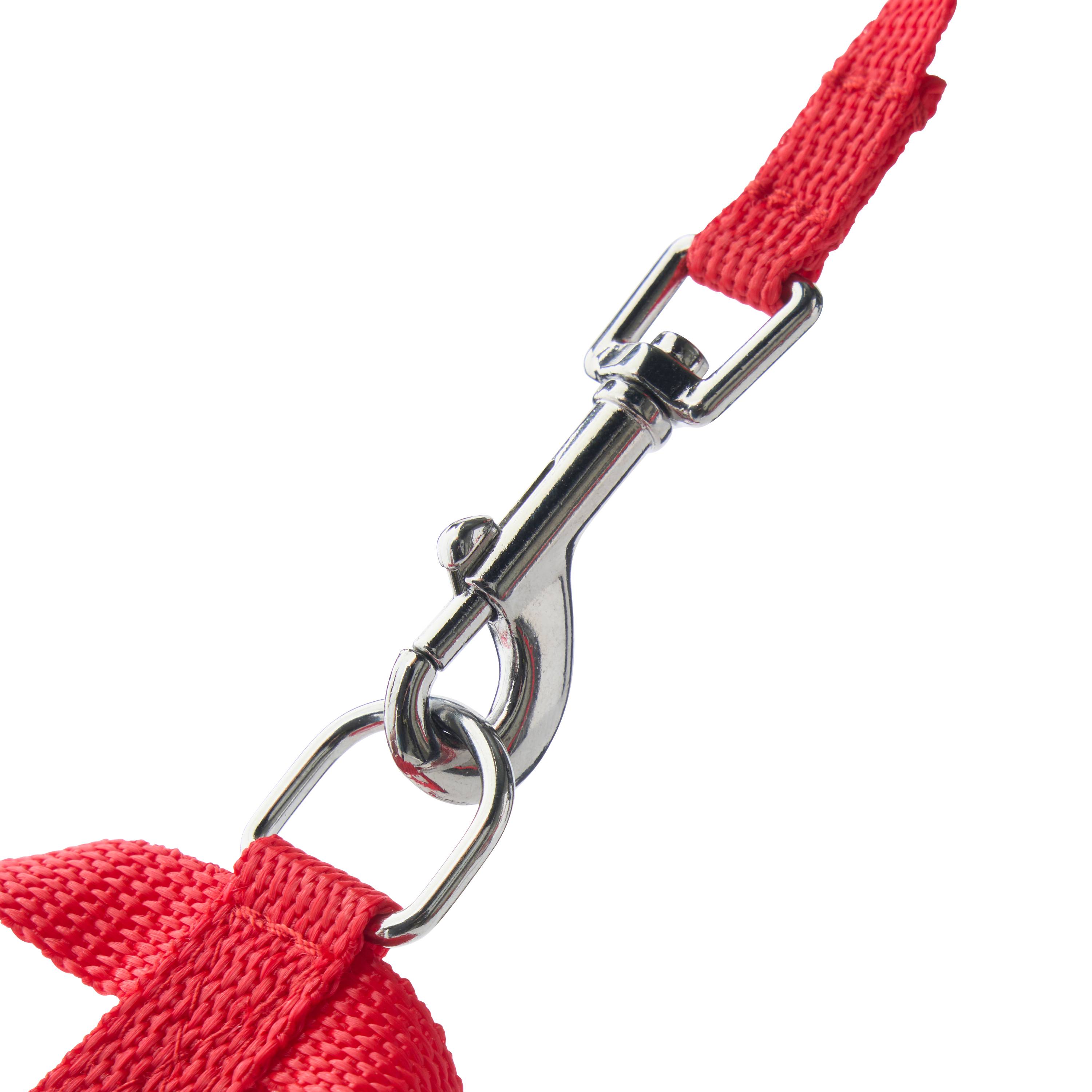 Marque Economique - Arnés de nylon rojo para perro – Tamaño M 15 mm - Imagen 1
