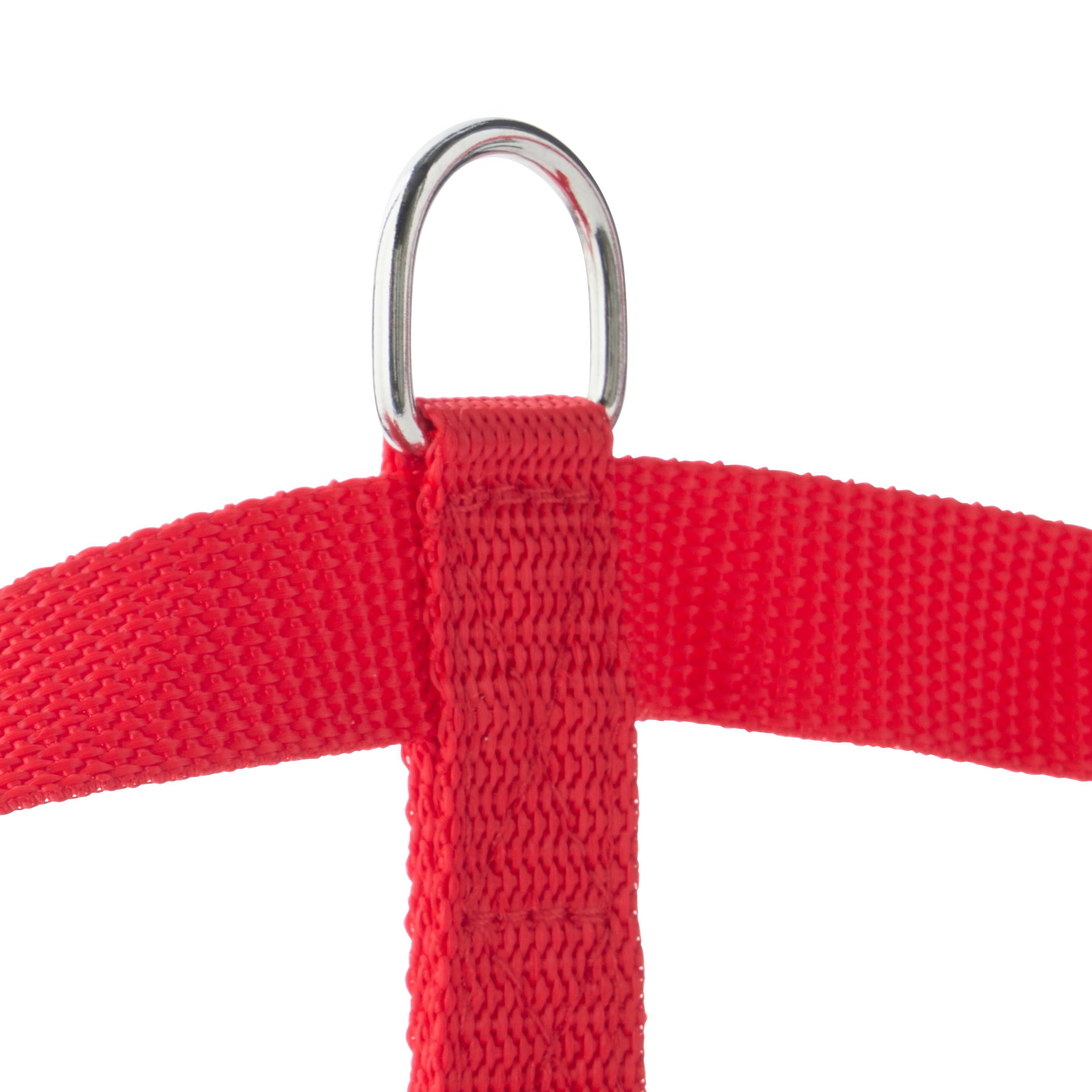 Marque Economique - Arnés de nylon rojo para perro – Tamaño L 20 mm - Imagen 1