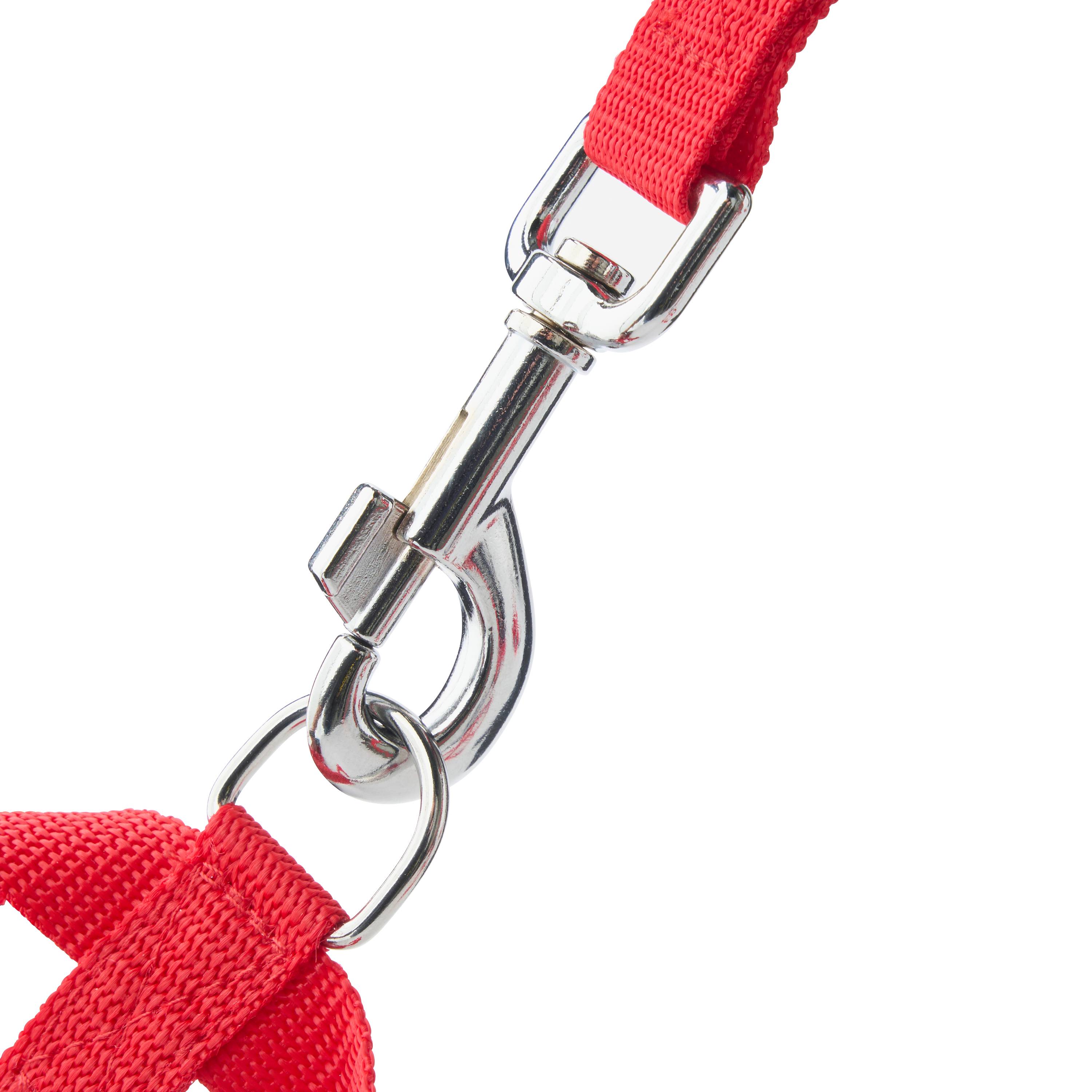 Marque Economique - Arnés de nylon rojo para perro – Tamaño L 20 mm - Imagen 2