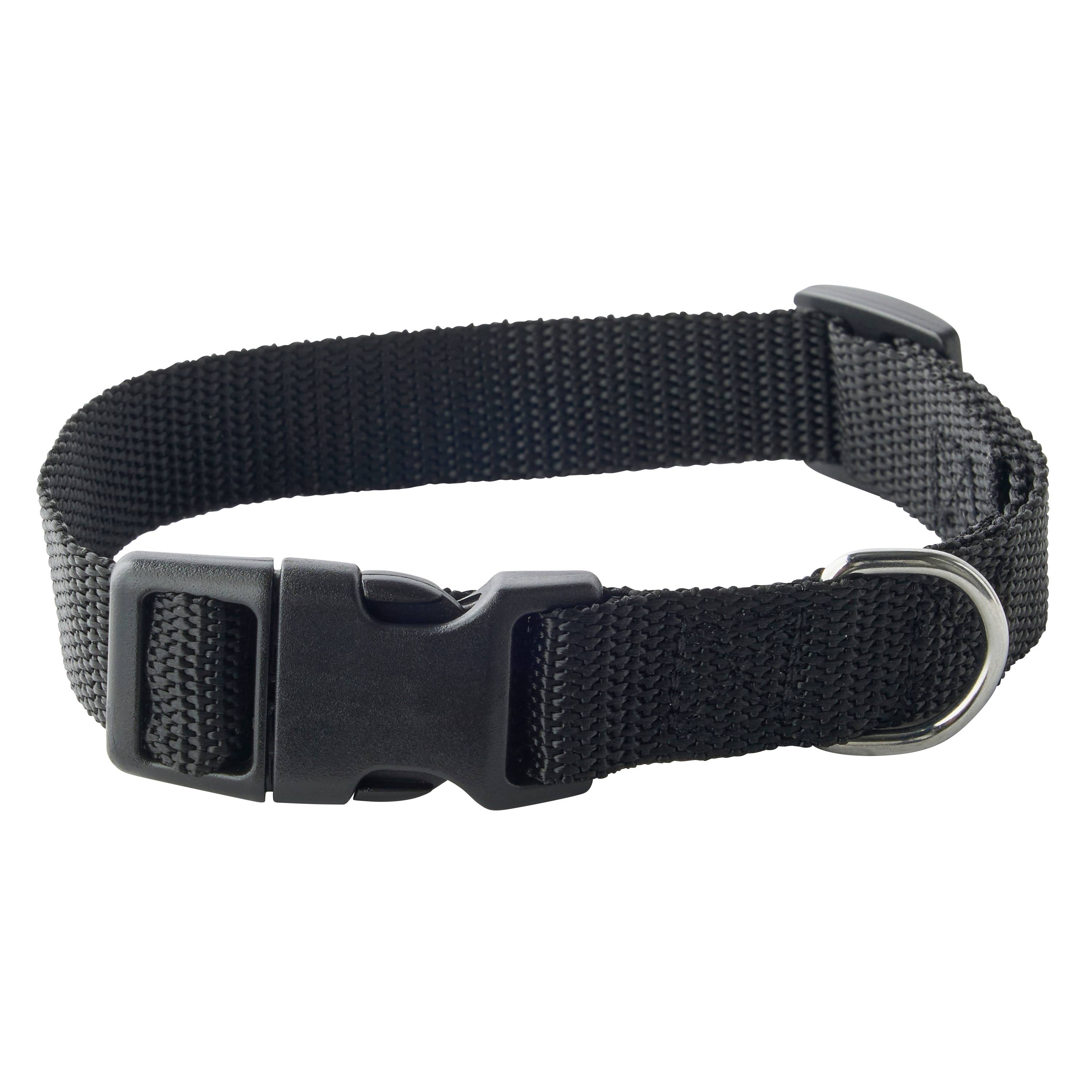 No name - zolux - Collier en nylon noir pour chien – Taille L 20 mm - Imagen 1