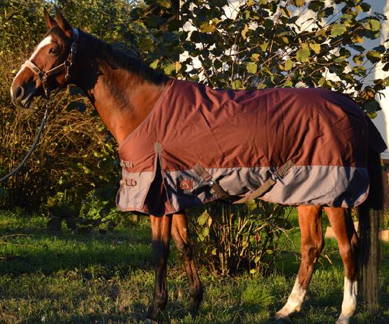 Lacme - Couverture d'hiver 155 cm - En Sac Zippé - LACMÉ - Image 2