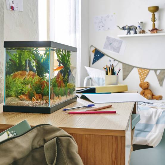 Pure Family - Aquarium pour poisson Start 35 13 L - Pure Family - Image 1