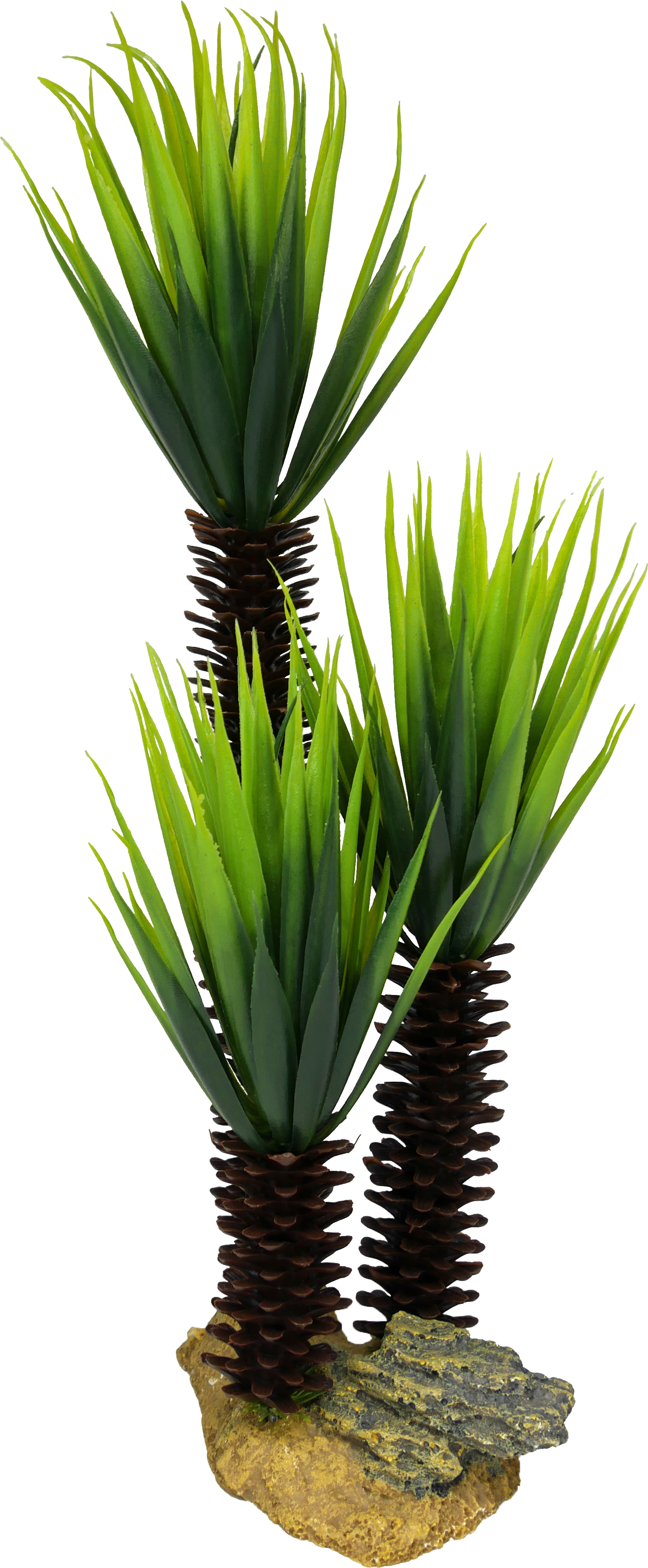 Labéo - Le décor artificiel Yucca pour aquarium et terrarium est d'une hauteur de 34 cm.