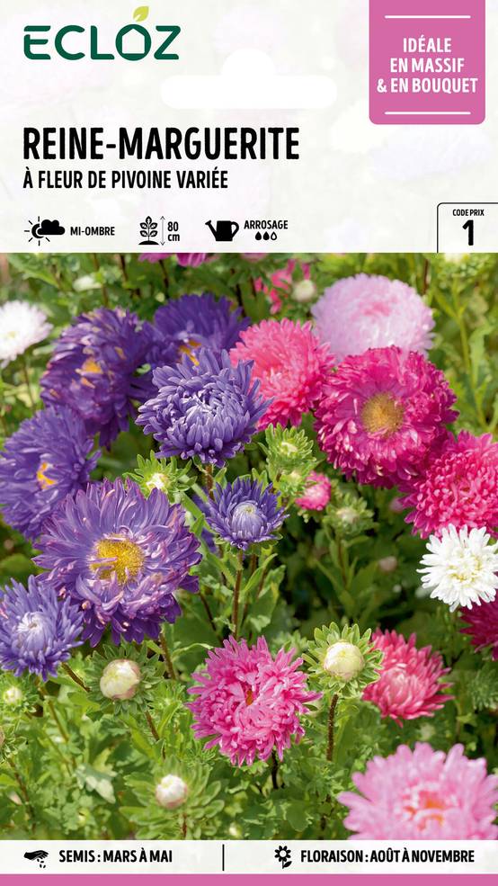 Ecloz - Reine-Marguerite à fleur de Pivoine variée graines sachet 1,2 g - ECLOZ - Image 1
