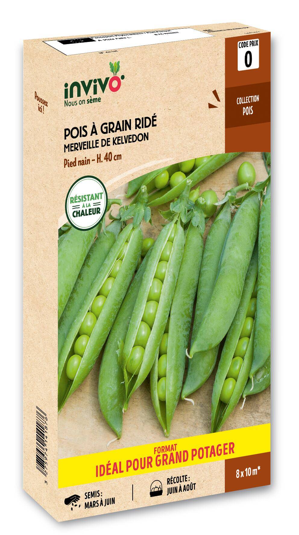 Invivo Nous On Sème - Pois Nain à Grain Ridé Merveille de Kelvedon boîte de 500g - Série 0 - INVIVO Nous on sème - Image 1
