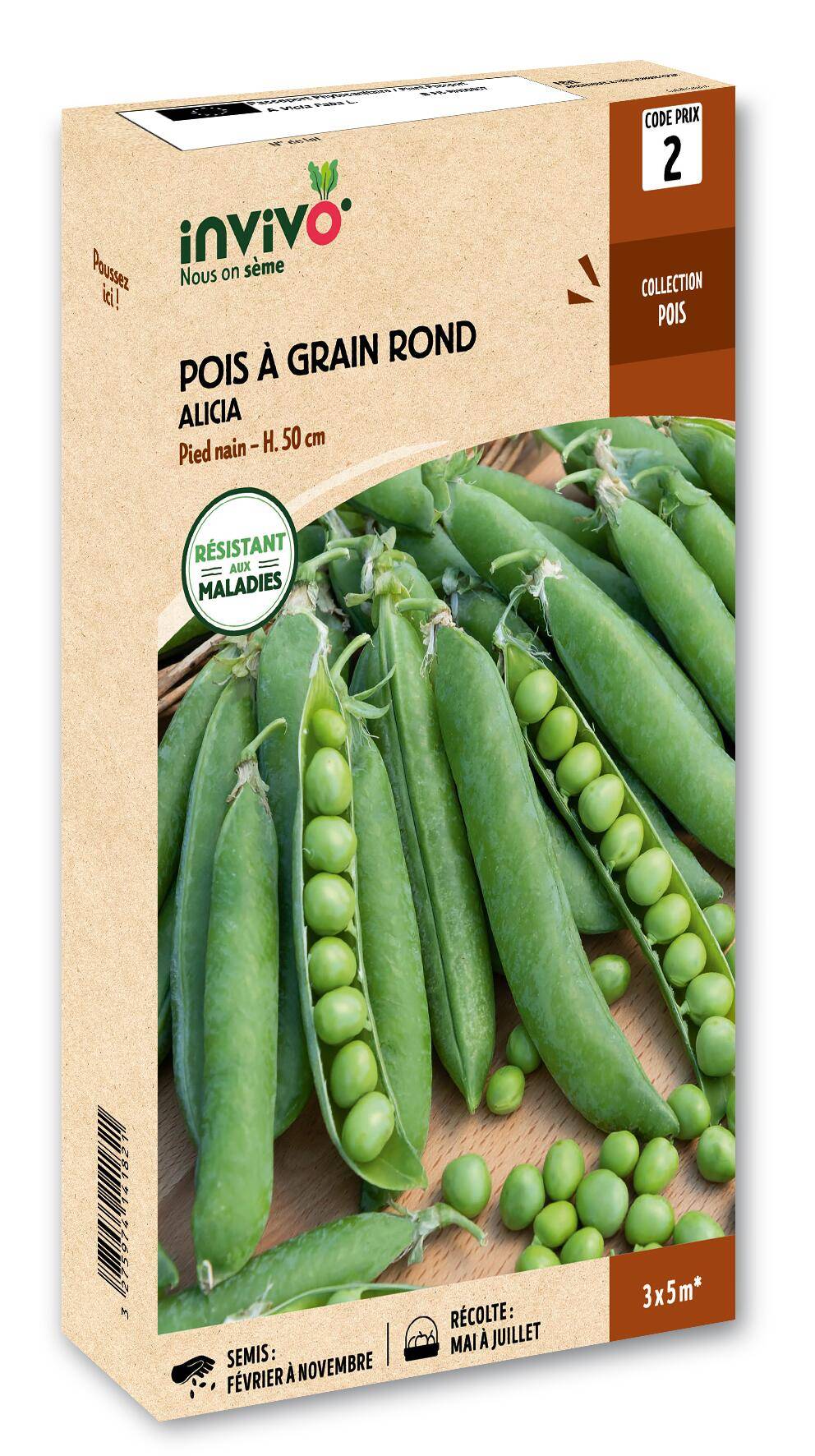Invivo Nous On Sème - Pois Nain à Grain Rond Alicia boîte de 200g - Série 2 - INVIVO Nous on sème - Image 1