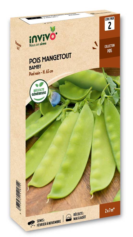 Invivo Nous On Sème - Pois Nain Mangetout Bamby boîte de 200g - Série 2 - INVIVO Nous on sème - Image 1