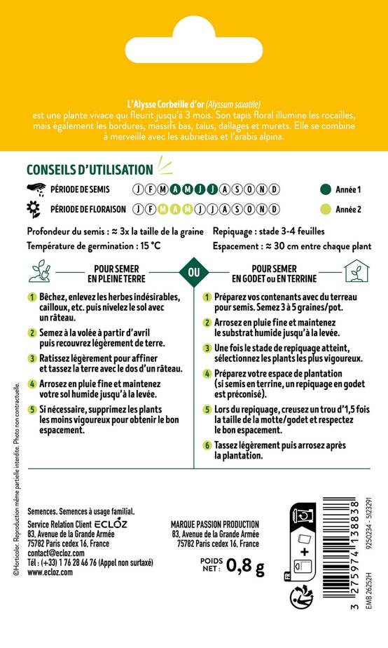 Ecloz - Alysse Corbeille d'Or graines sachet 0,8 g - ECLOZ - Image 2