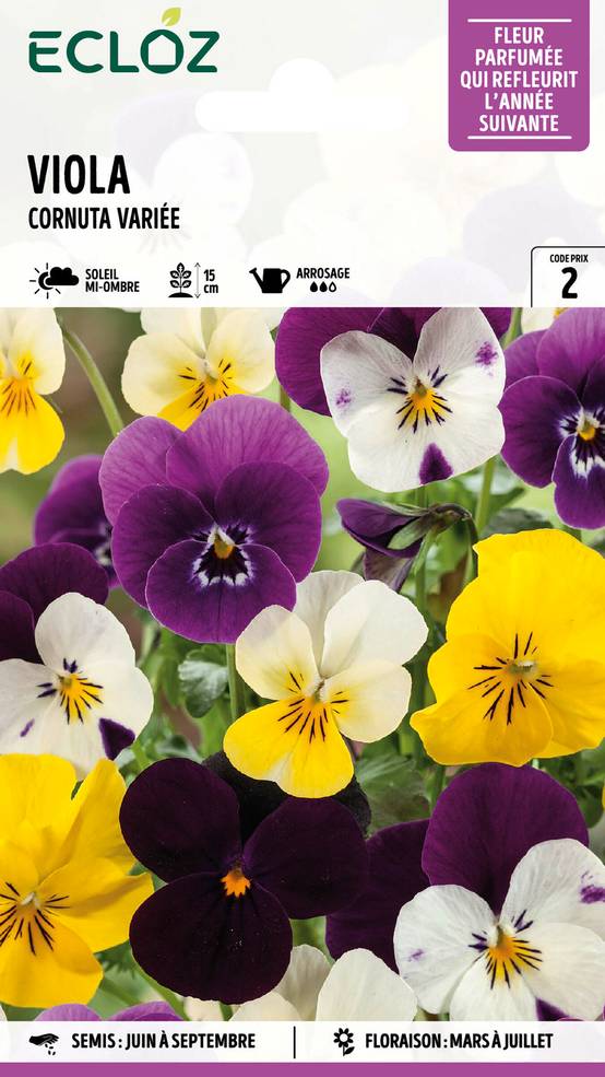 Ecloz - Viola Cornuta variée graines sachet 0,6 g - ECLOZ - Image 1