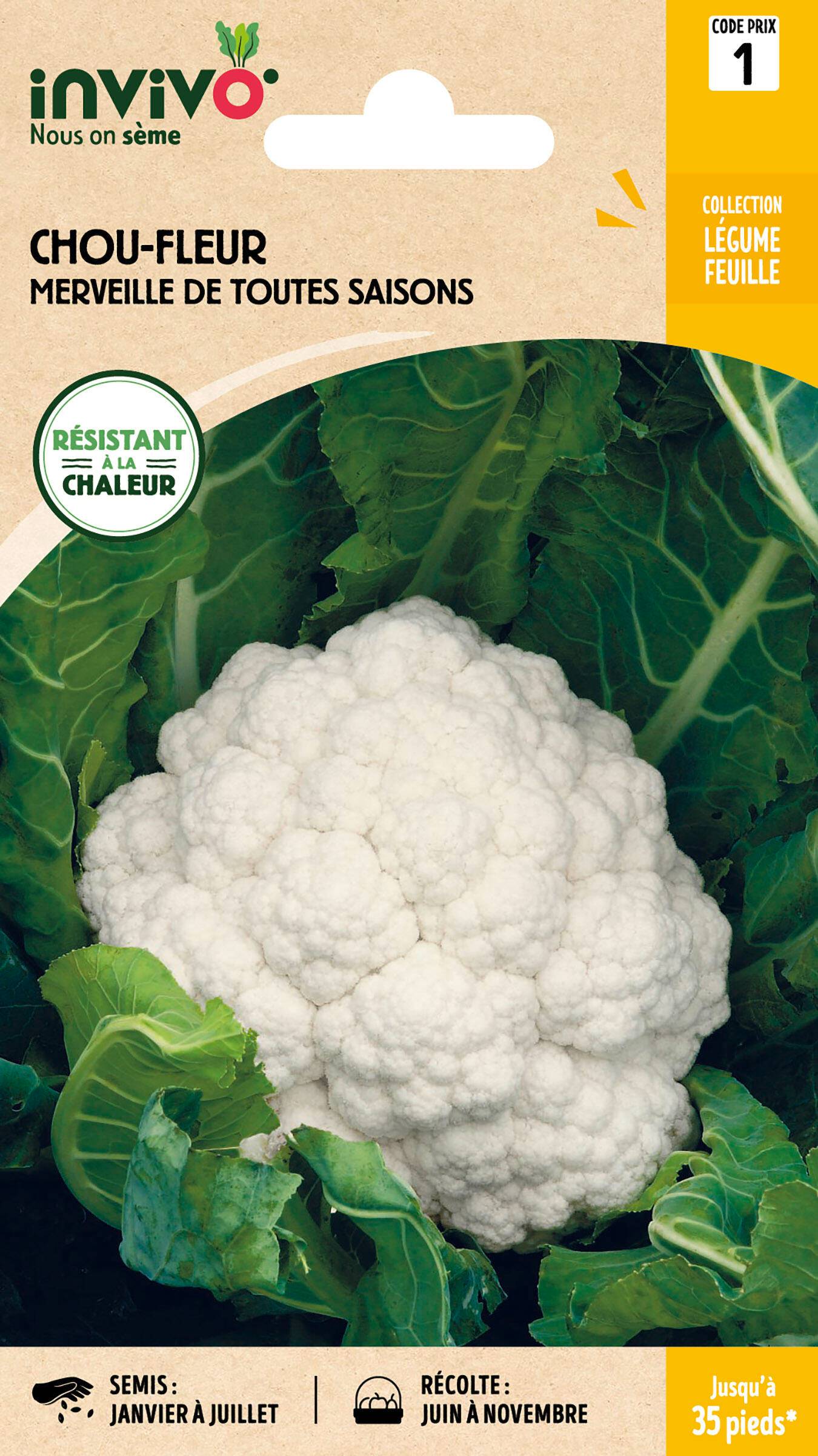 Invivo Nous On Sème - Chou-Fleur Merveille de Toutes Saisons sachet de 0,8g - Série 1 - INVIVO Nous on sème
