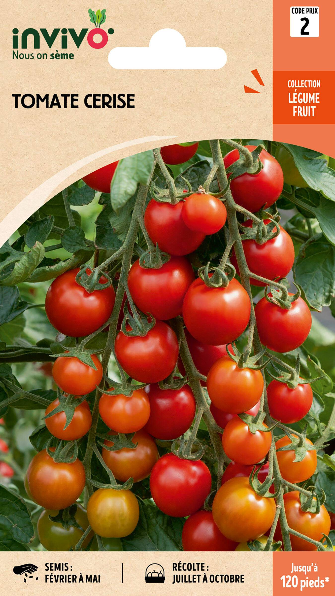 Invivo Nous On Sème - Tomate Cerise sachet de 0,8g - Série 2 - INVIVO Nous on sème - Image 1