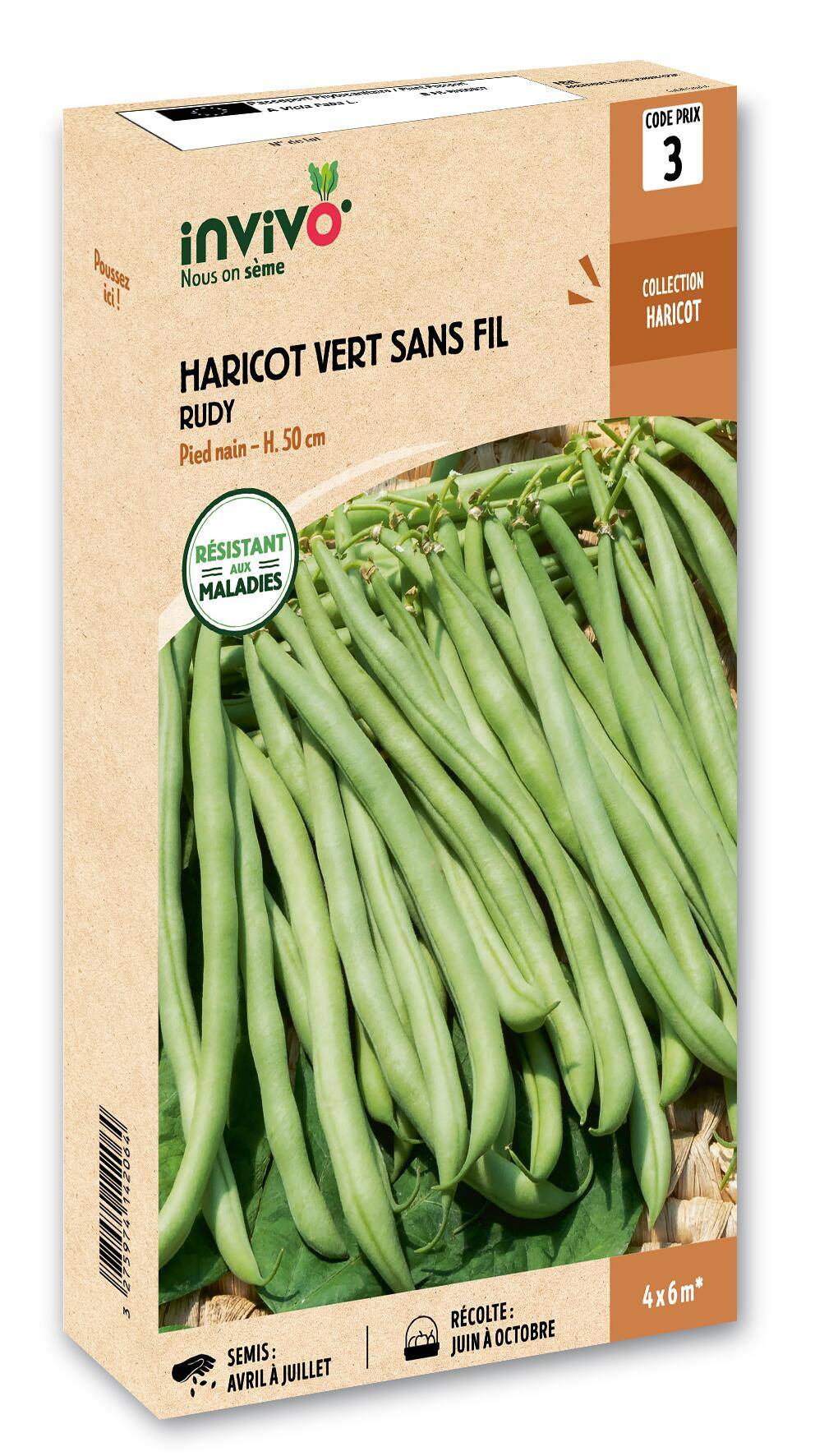 Invivo Nous On Sème - Haricot Nain Vert à Filet Sans Fil Rudy boîte de 200g - Série 3 - INVIVO Nous on sème - Image 1