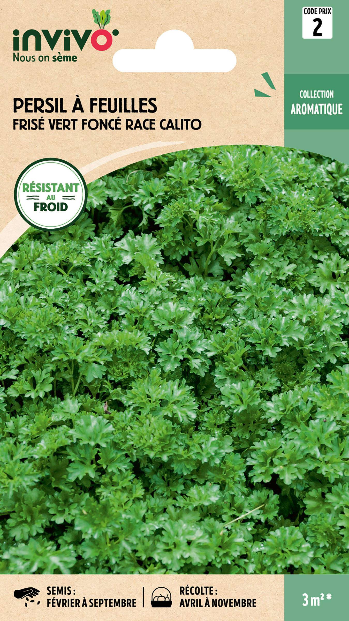 Invivo Nous On Sème - Persil à feuilles frisé vert foncé race Calito graines sachet  5 g - INVIVO Nous on sème - Image 1